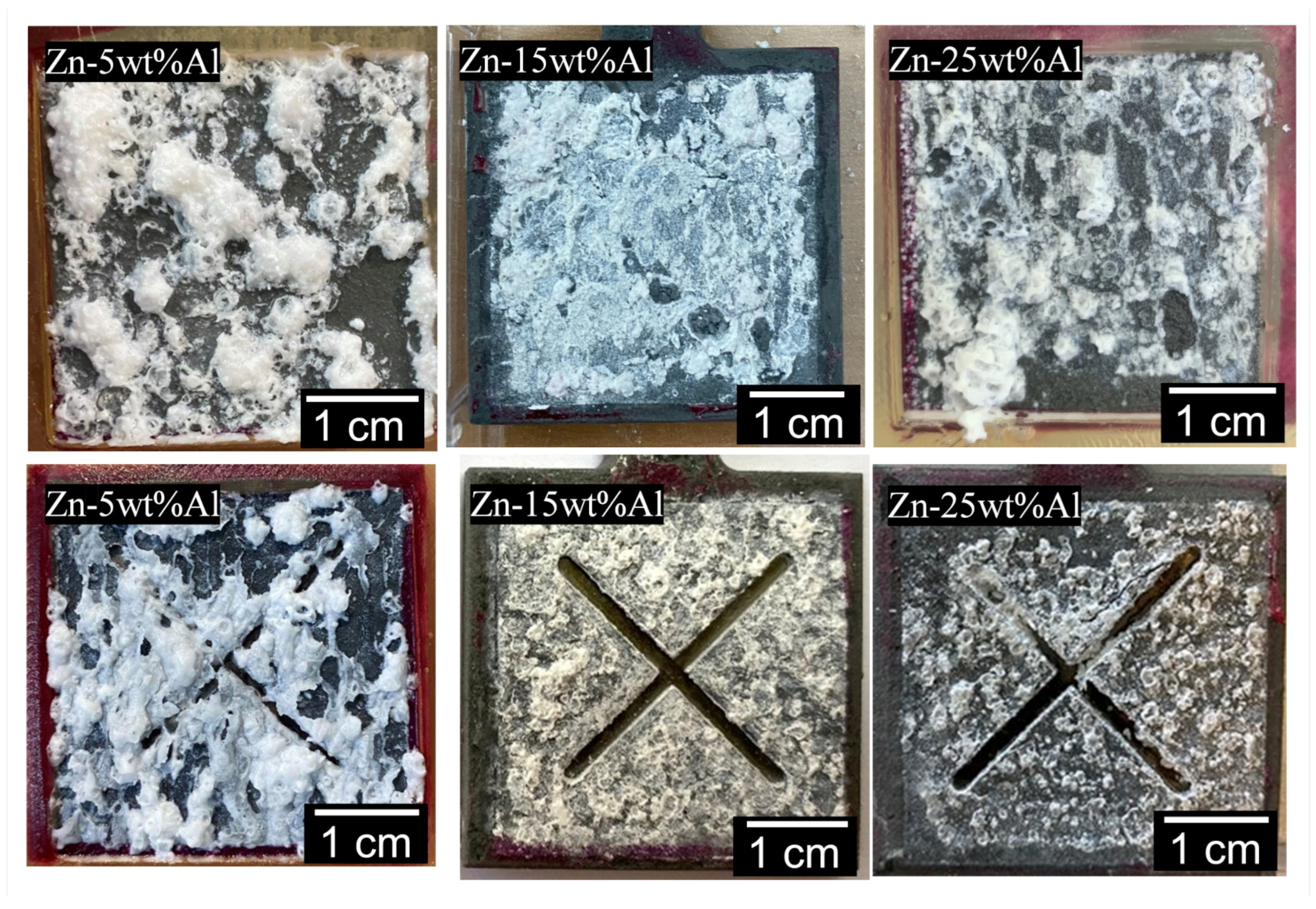 Coatings 14 00261 g008