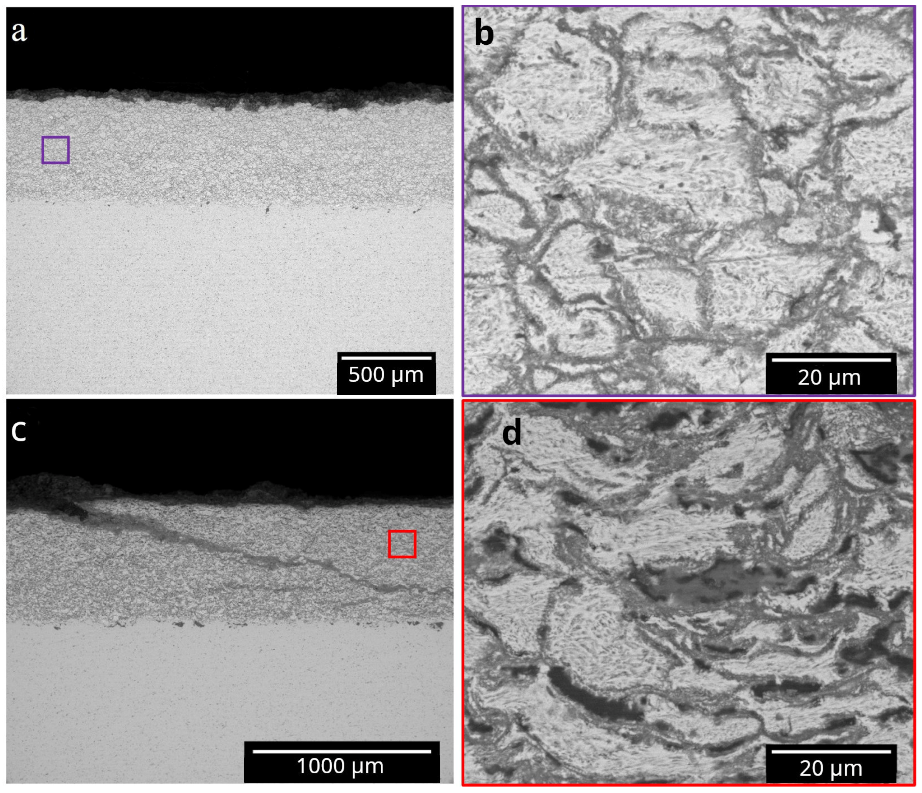Coatings 14 00261 g012