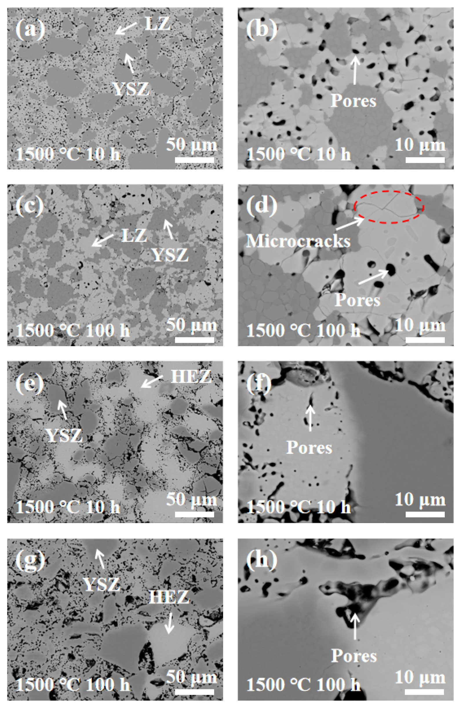 Coatings 14 00269 g005