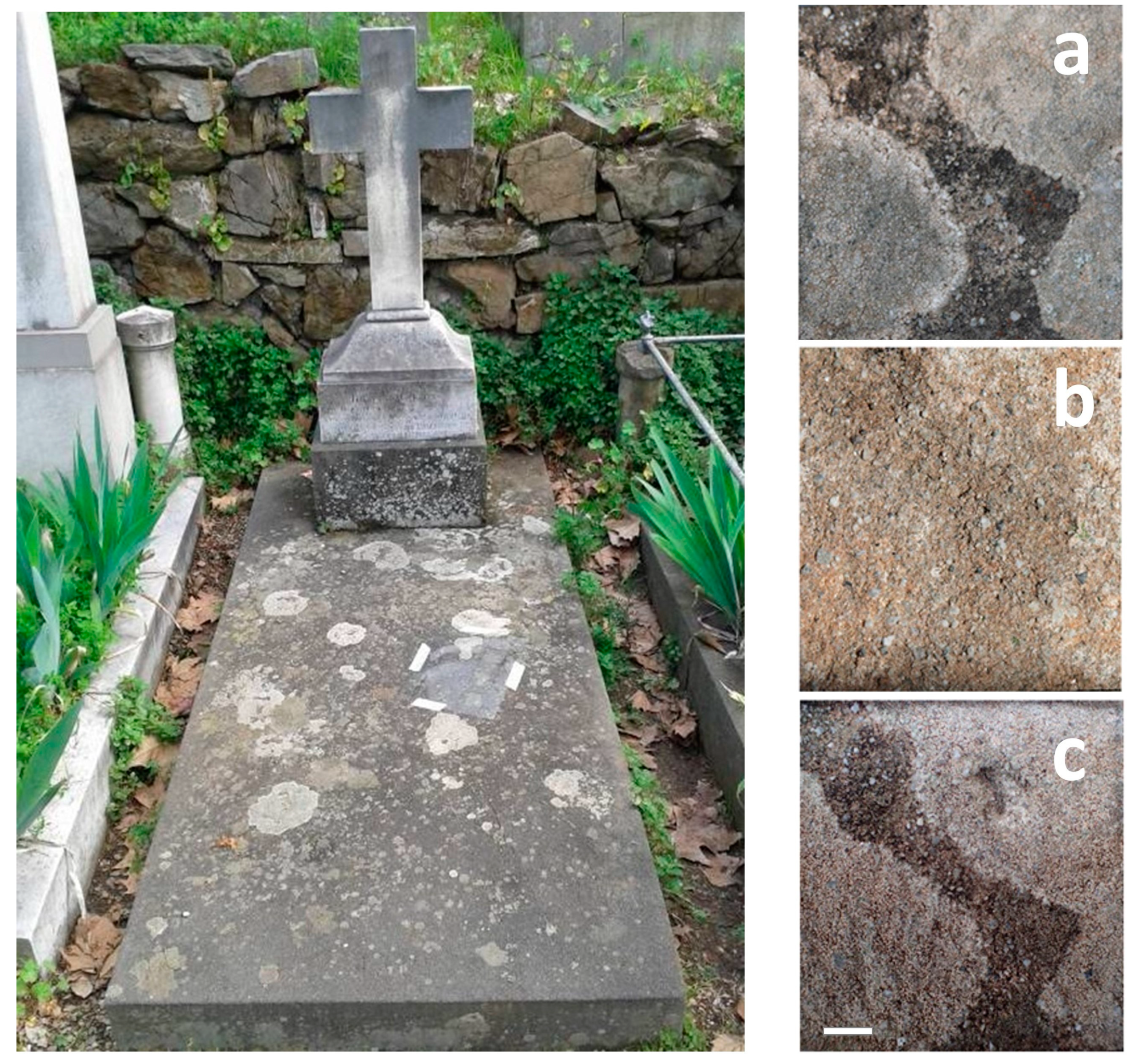 Coatings 14 00272 g004