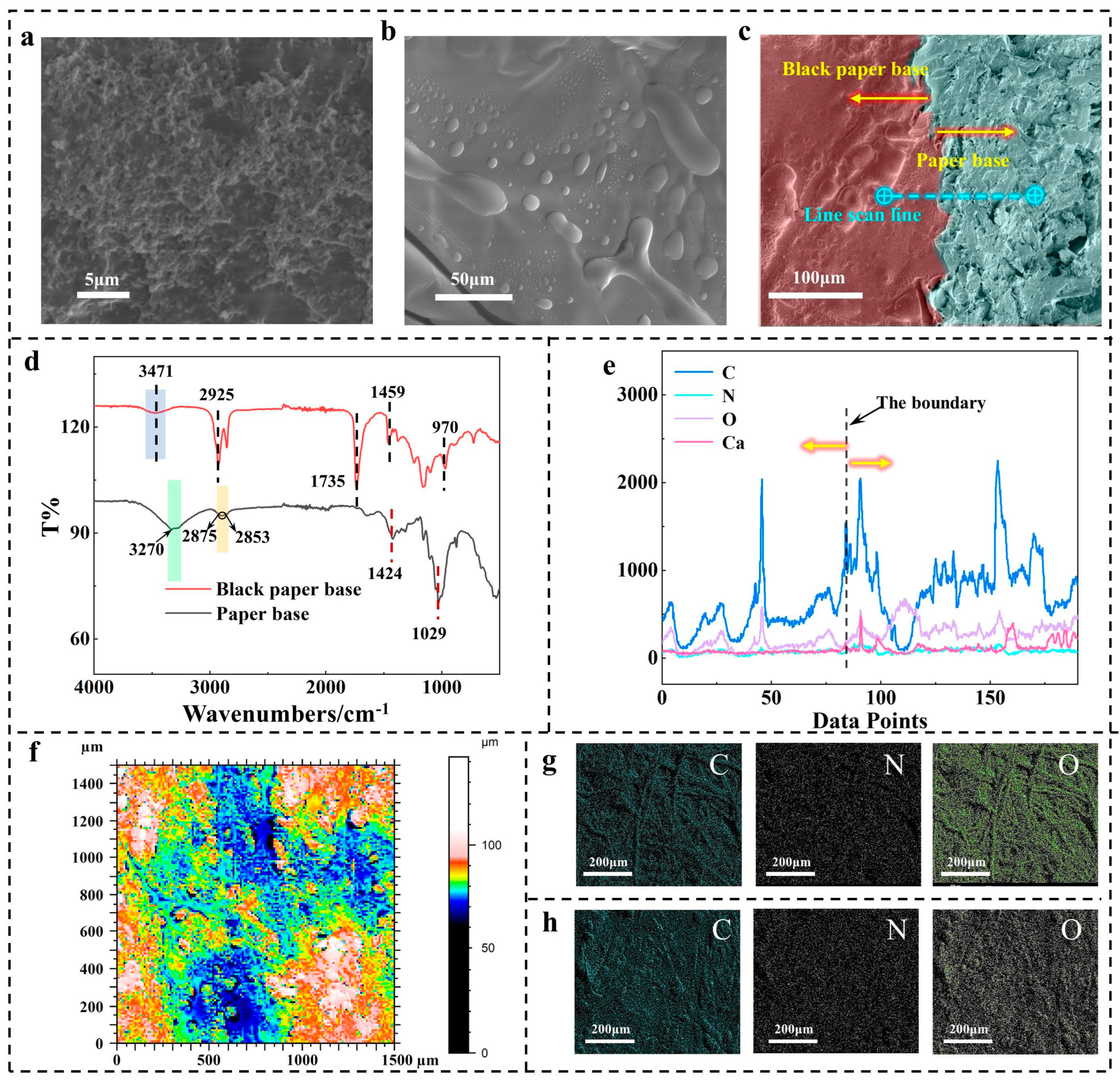 Coatings 14 00284 g002