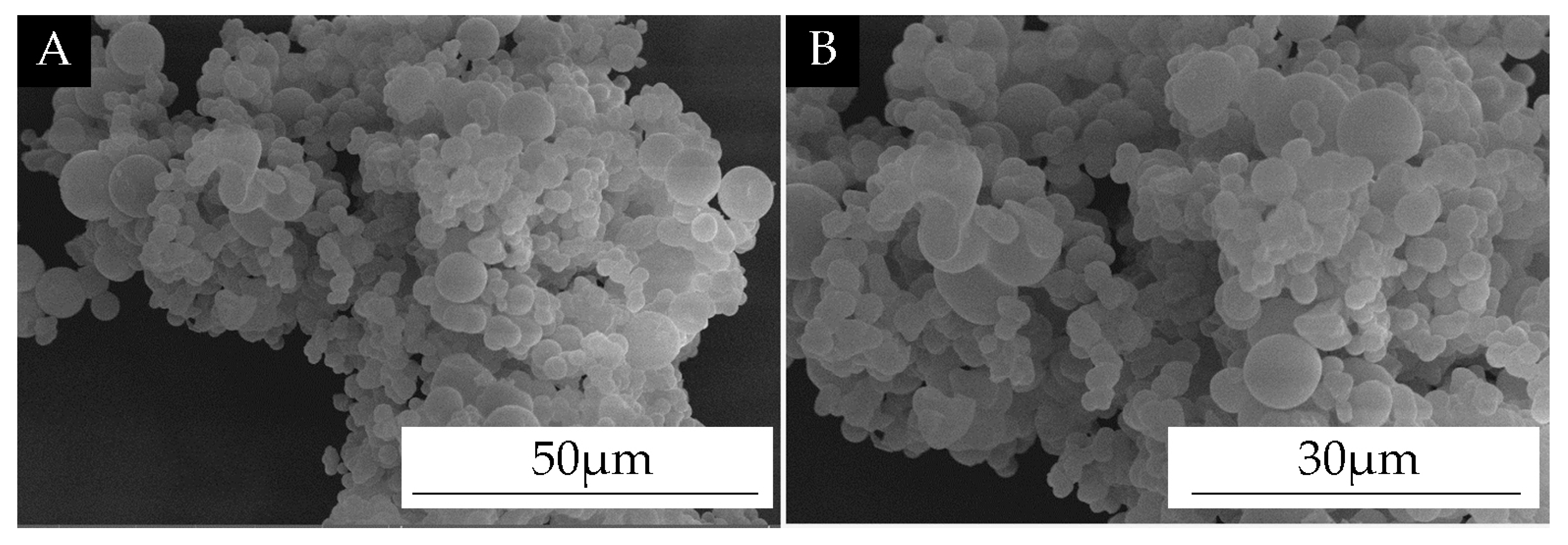 Coatings 14 00286 g002