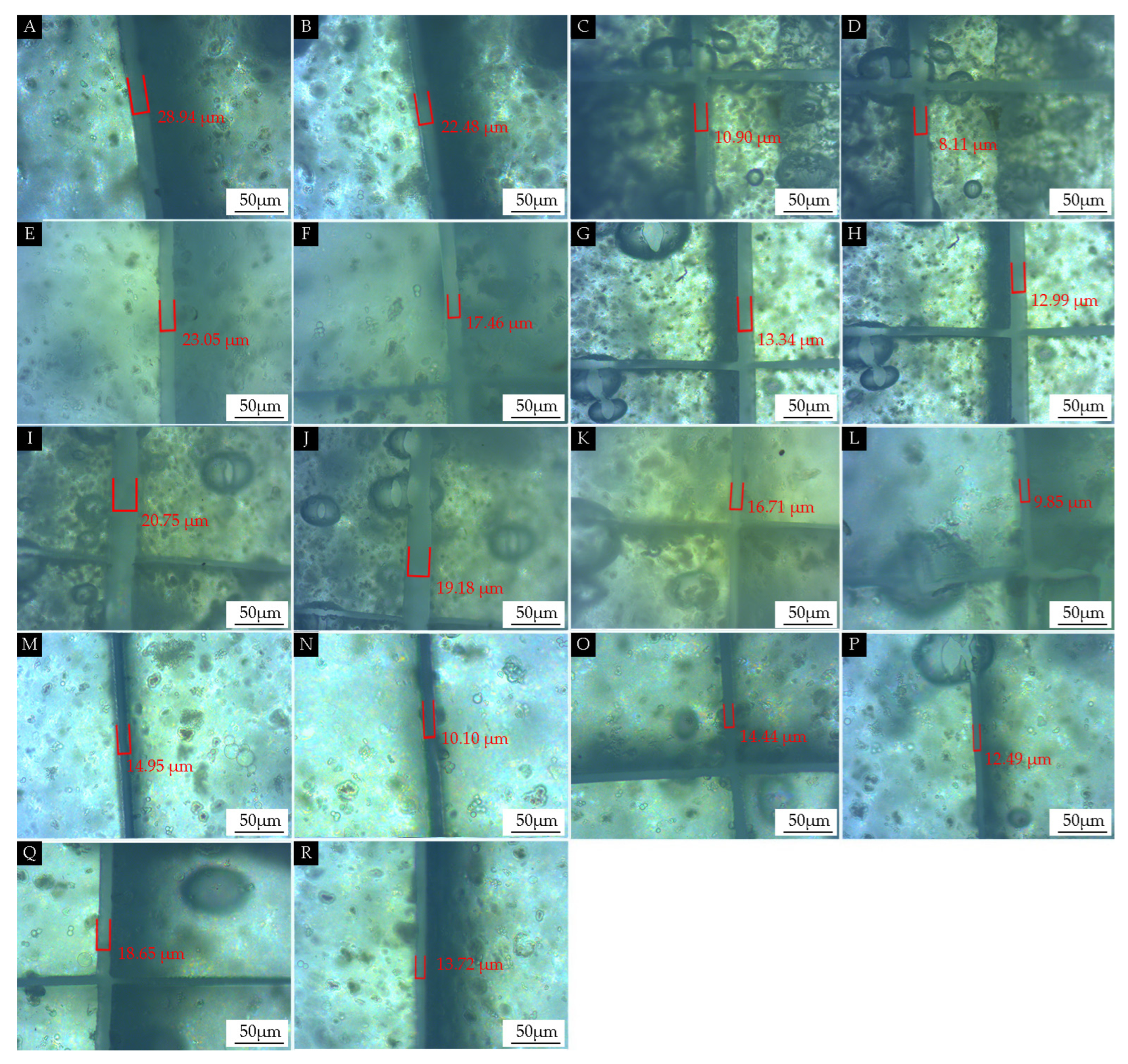 Coatings 14 00286 g010