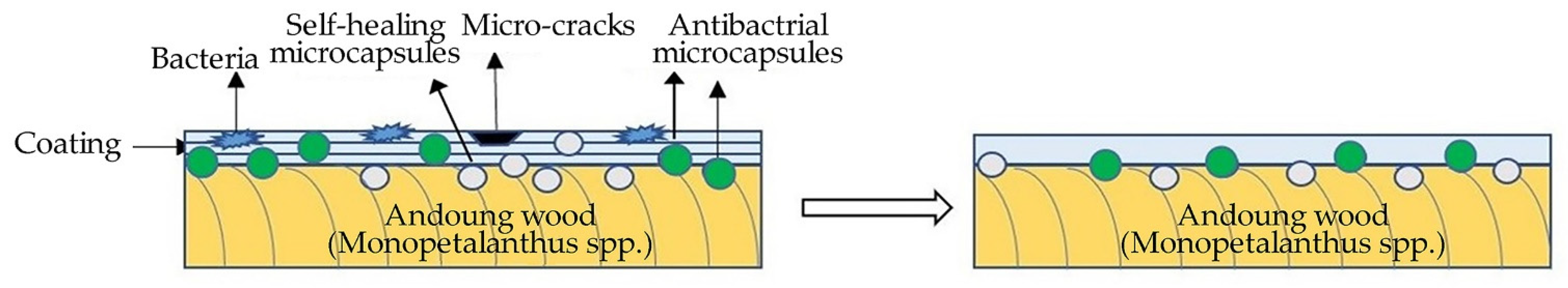 Coatings 14 00286 g012