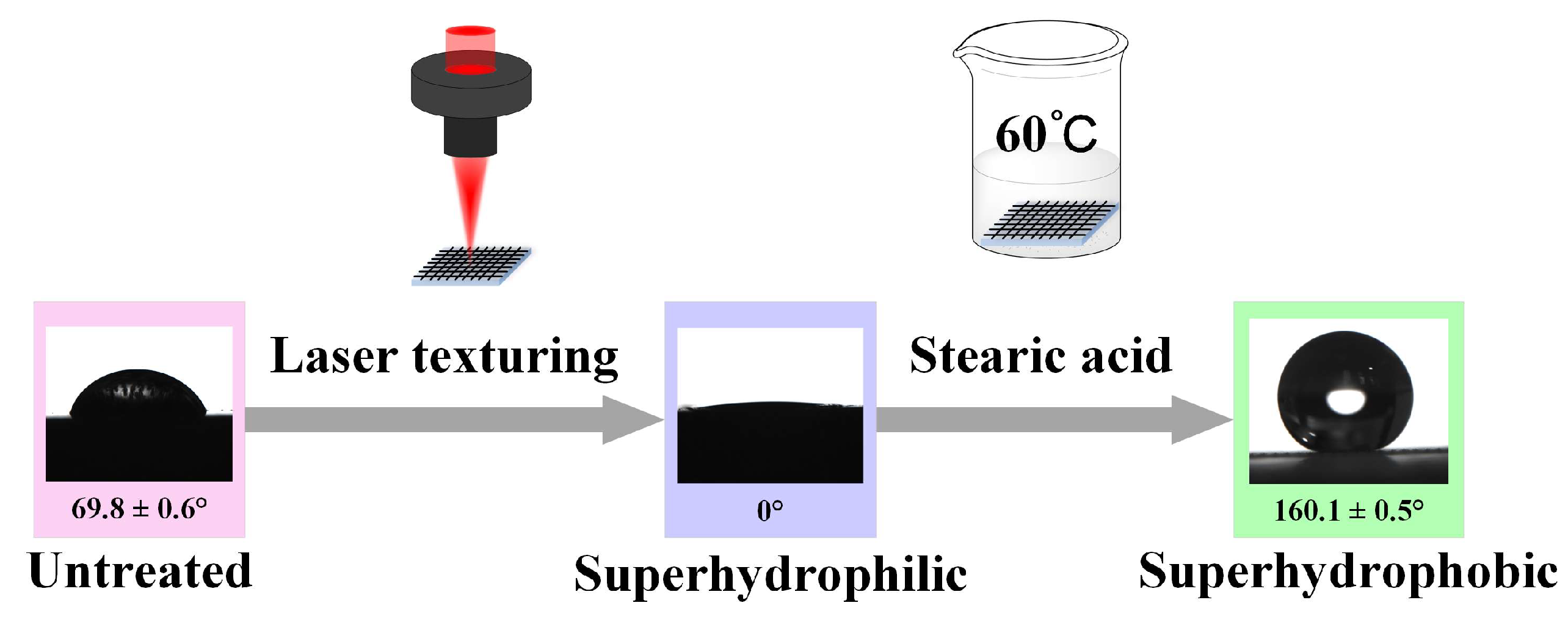 Coatings 14 00287 g004