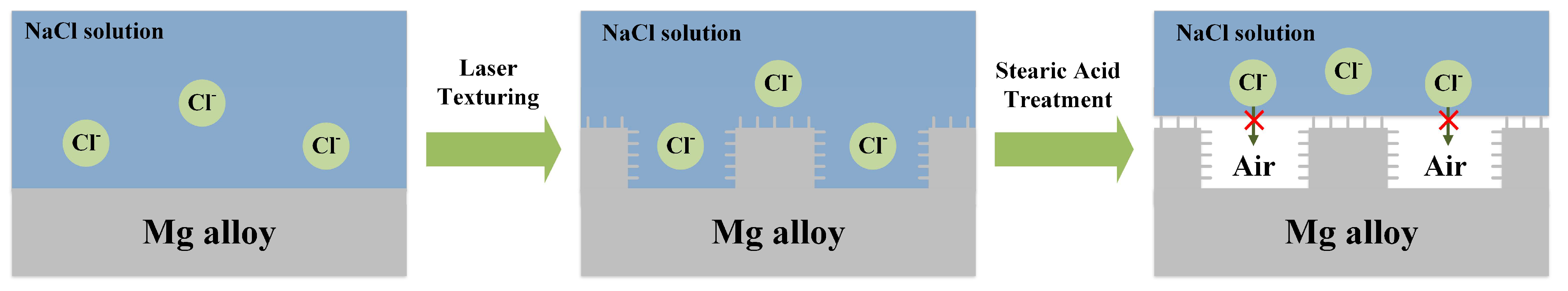 Coatings 14 00287 g009