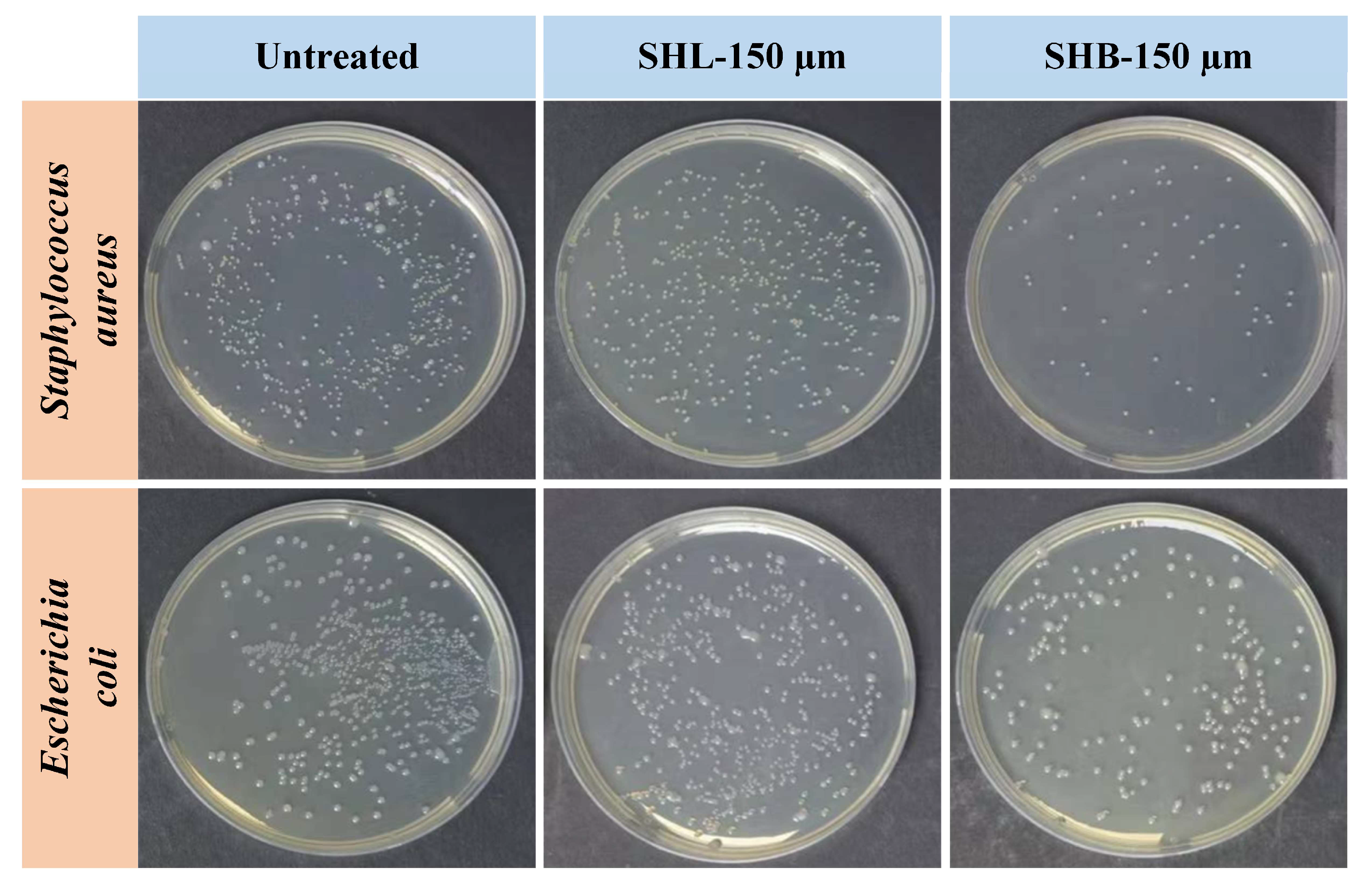 Coatings 14 00287 g010
