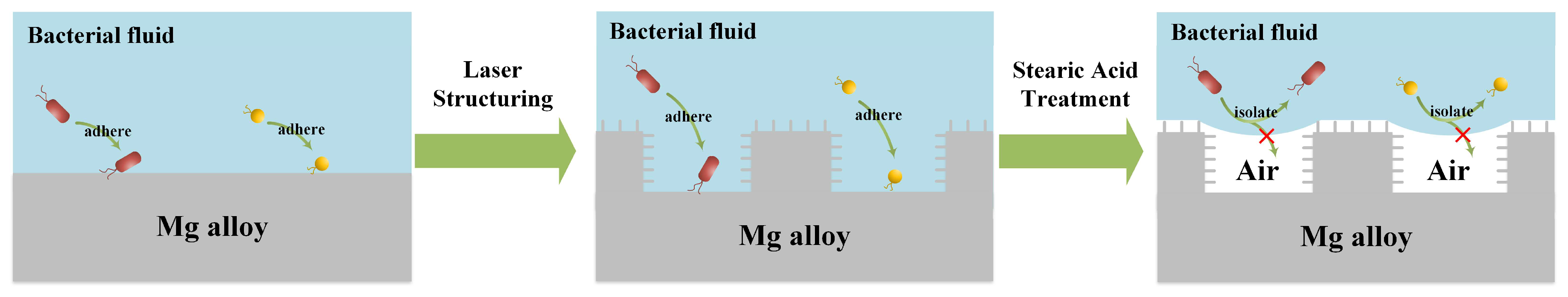 Coatings 14 00287 g012