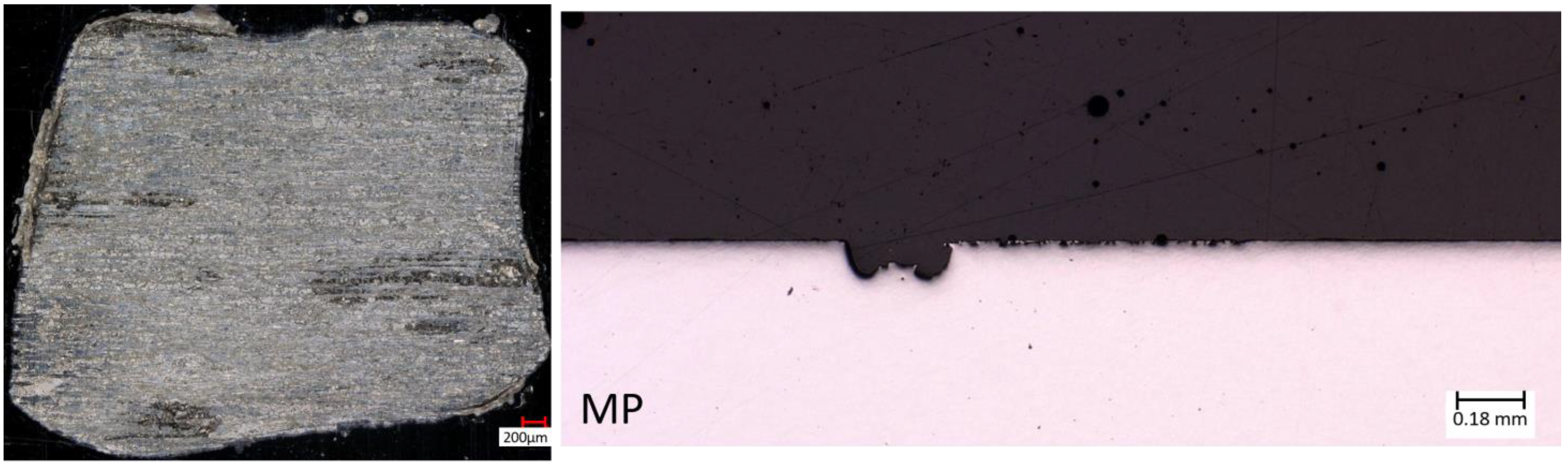 Coatings 14 00290 g012 Coatings 14 00290 g012