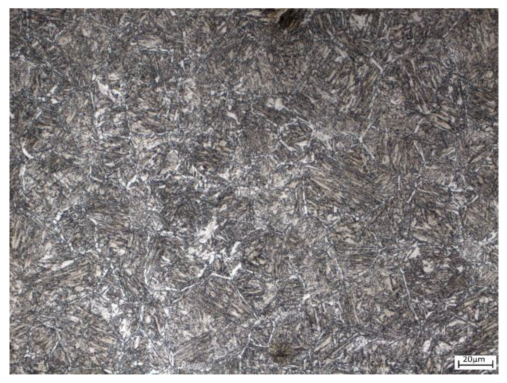 Coatings 14 00294 g001