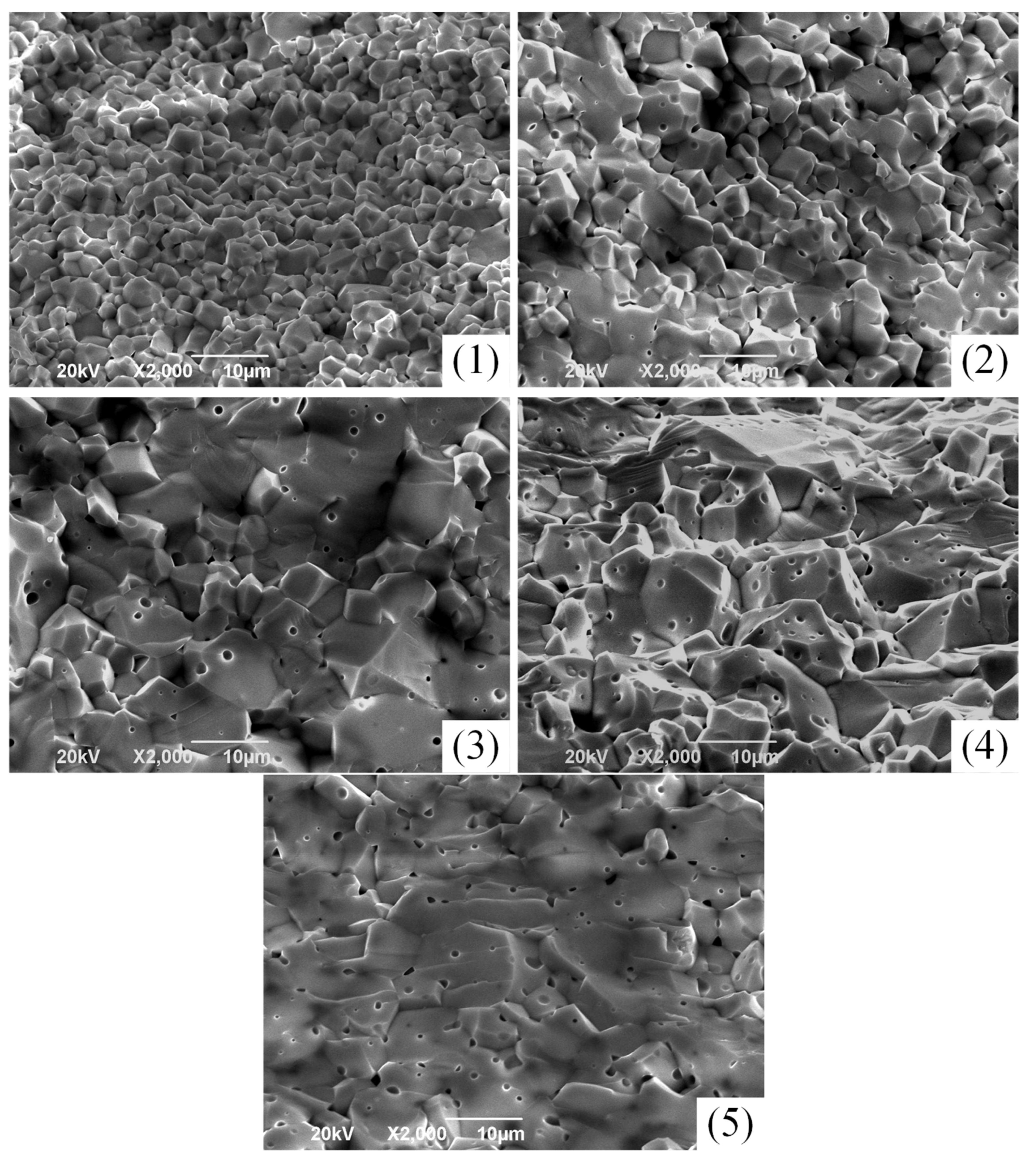 Coatings 14 00302 g002