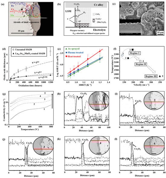 Coatings 14 00307 g003