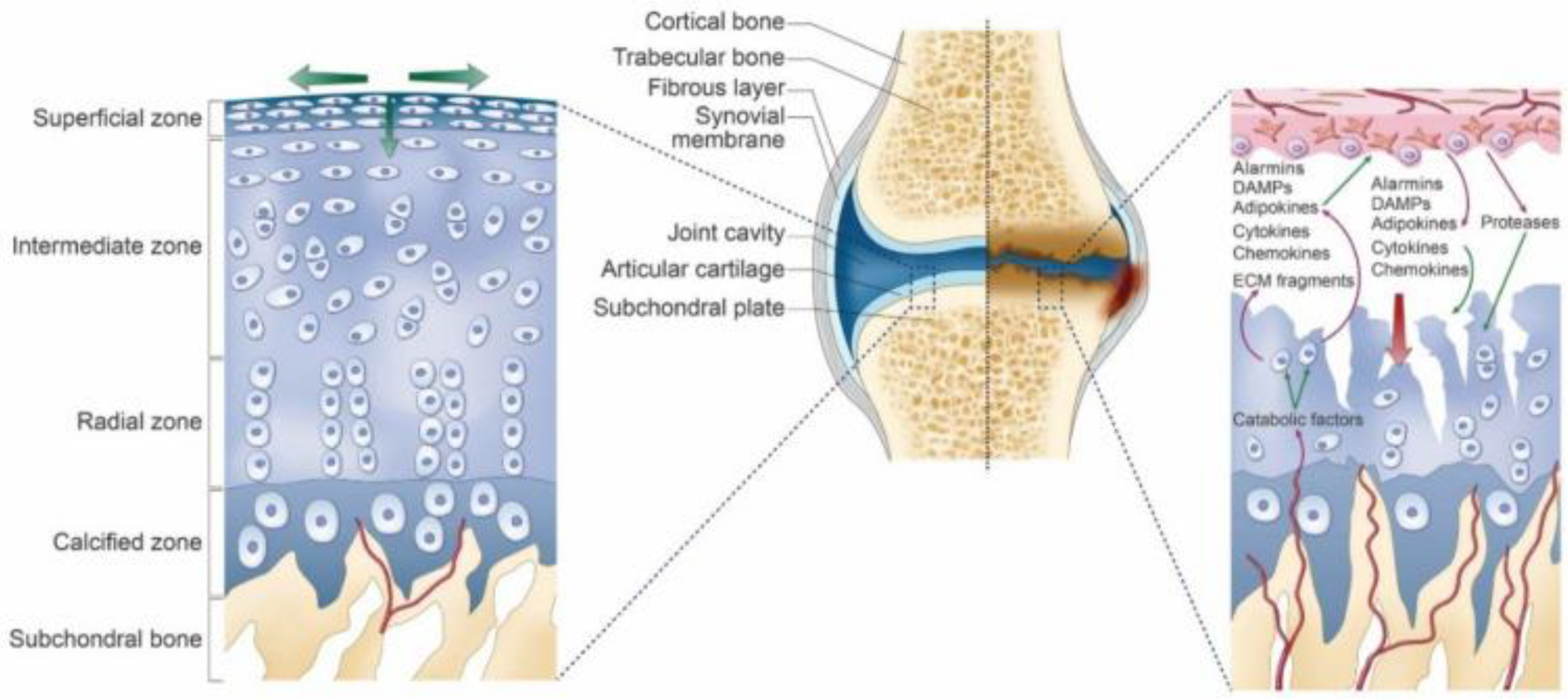Coatings 14 00308 g003