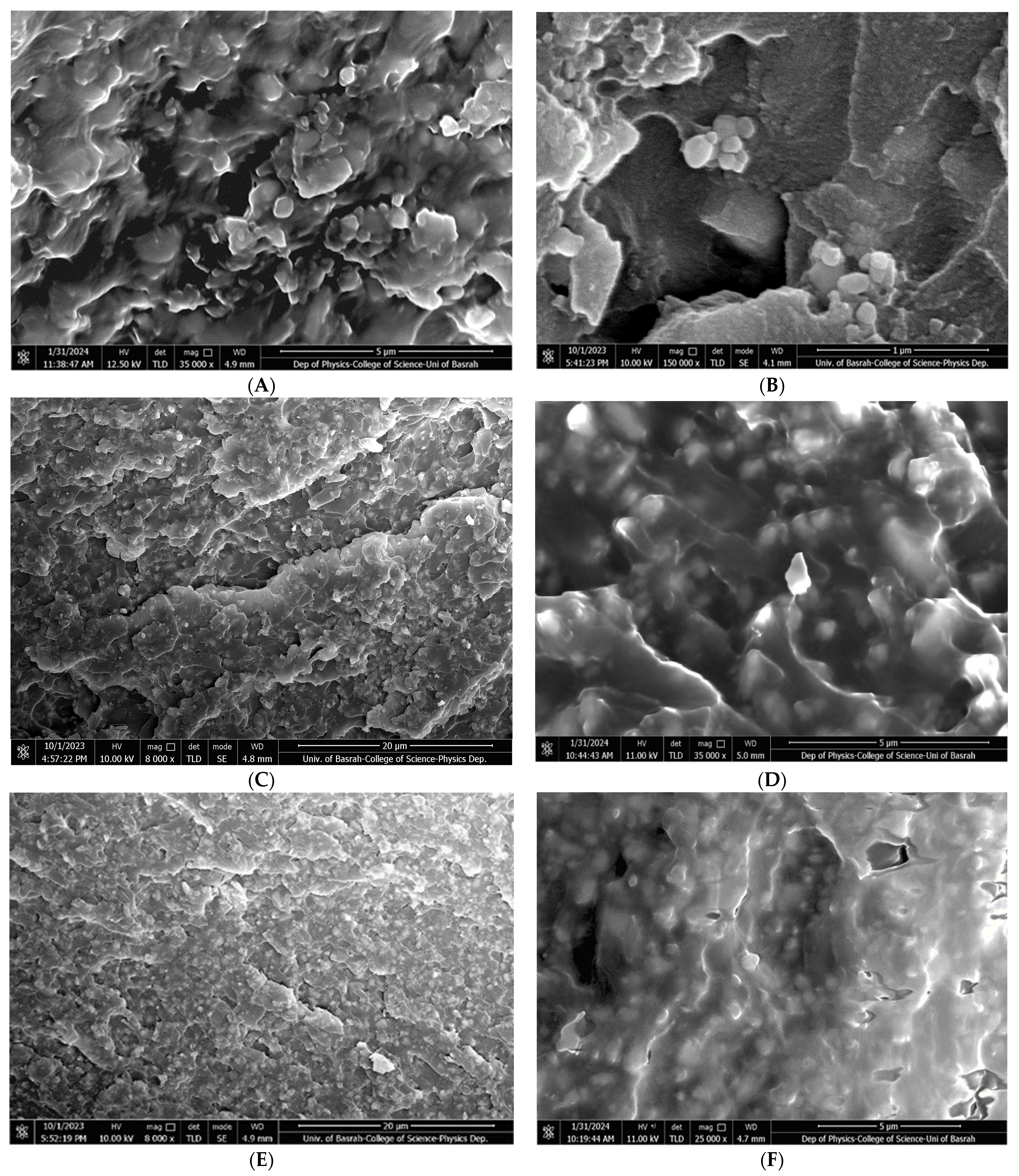 Coatings 14 00310 g012