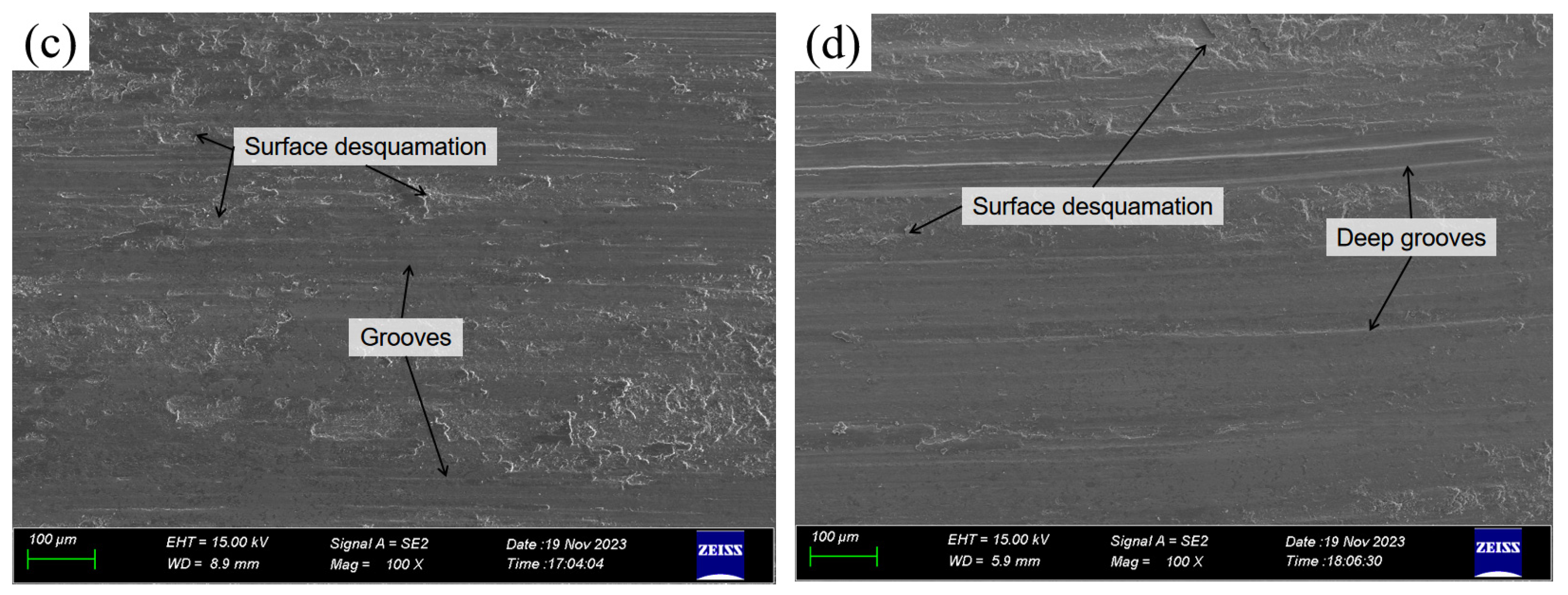 Coatings 14 00317 g015b Coatings 14 00317 g015b