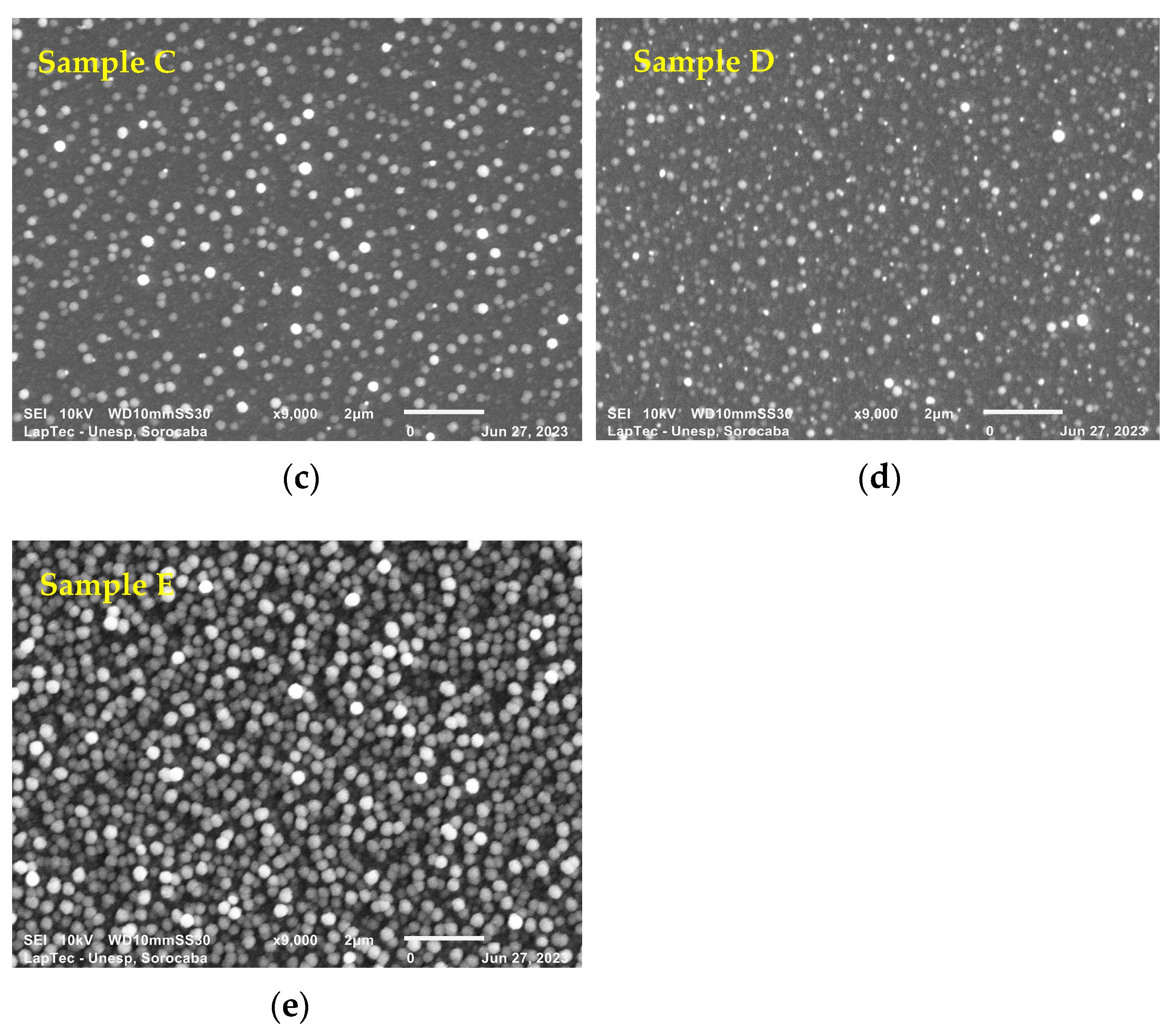 Coatings 14 00322 g003b