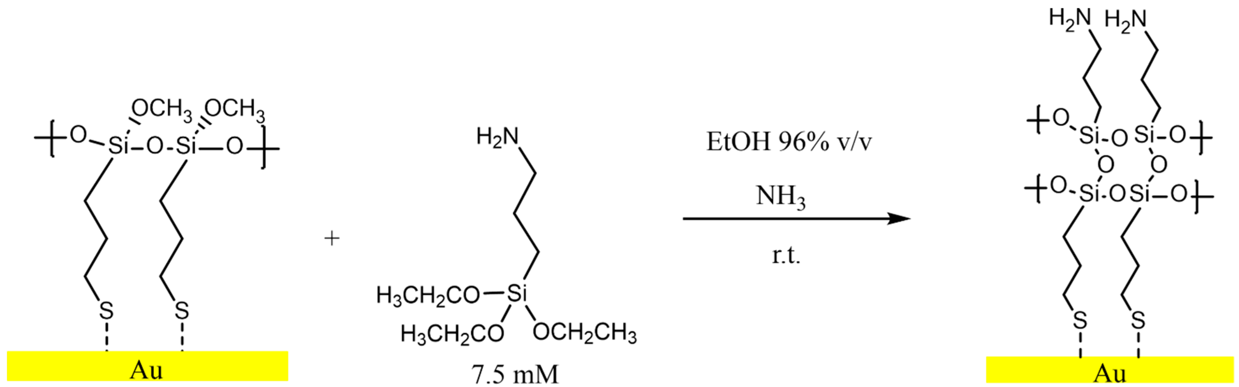 Coatings 14 00327 g003