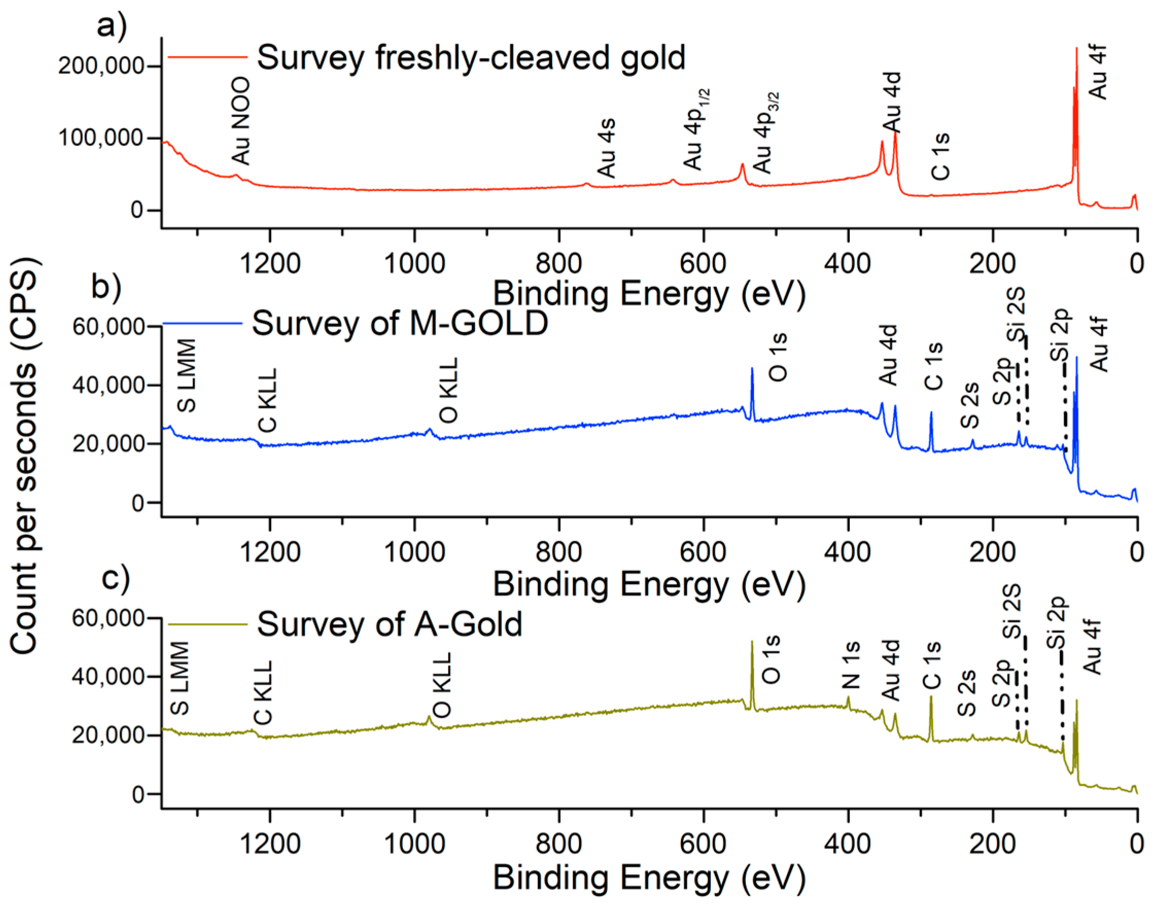 Coatings 14 00327 g004