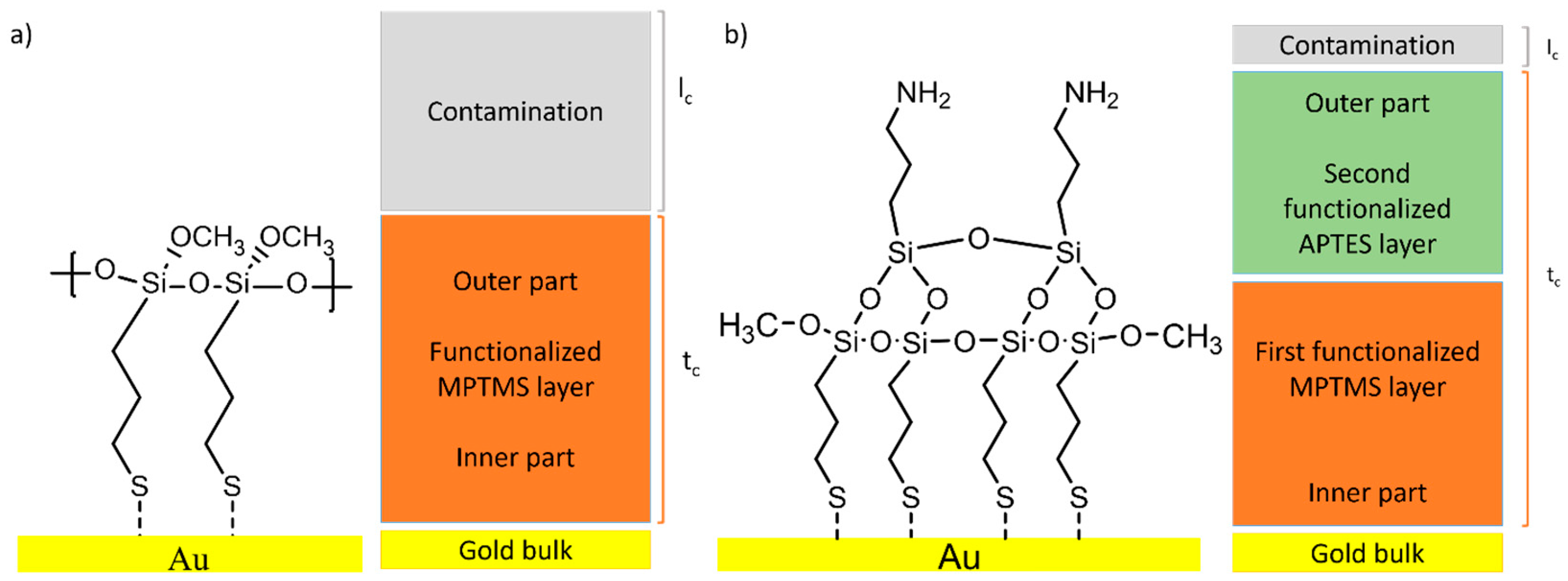 Coatings 14 00327 g011