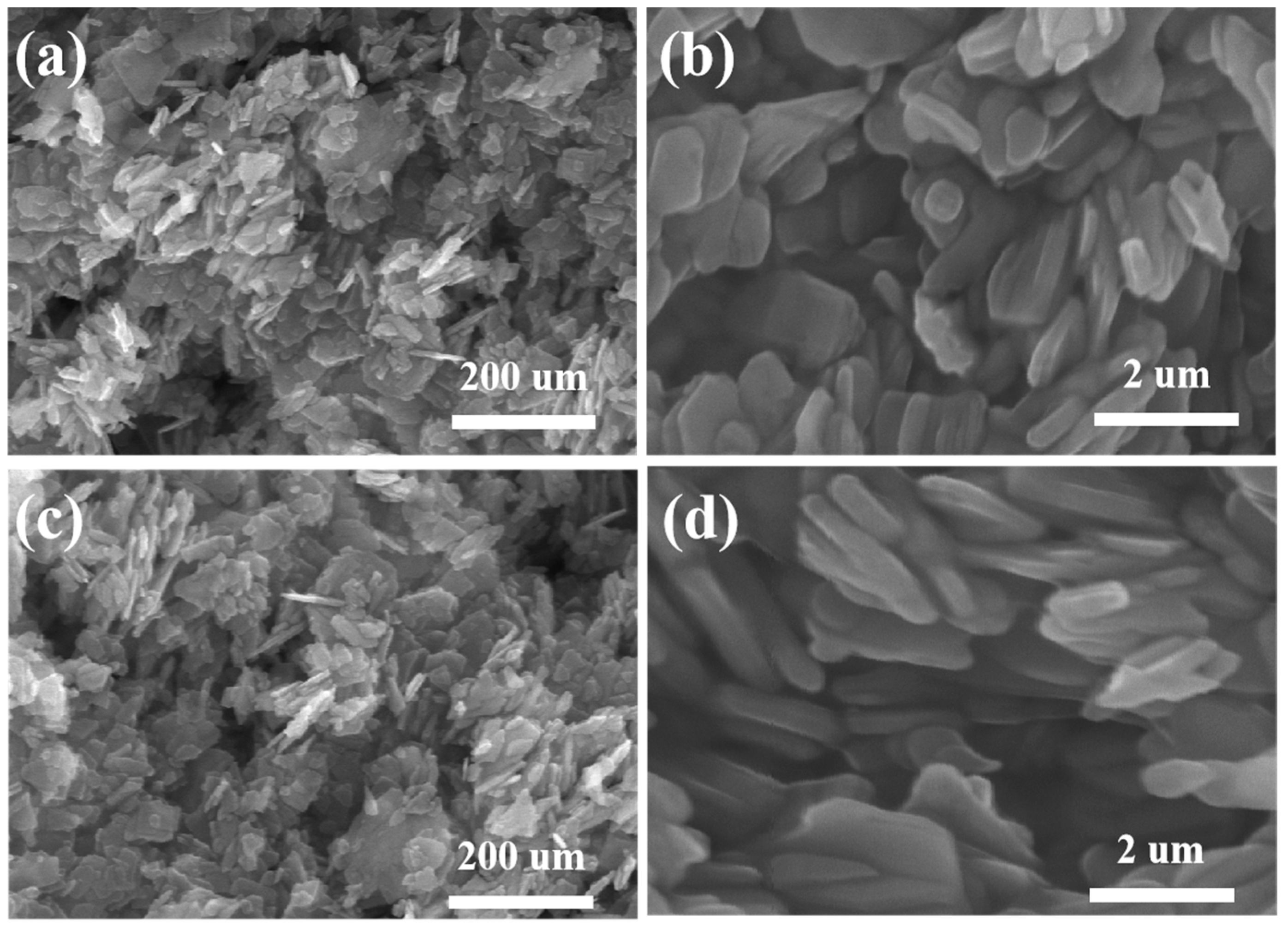 Coatings 14 00330 g002