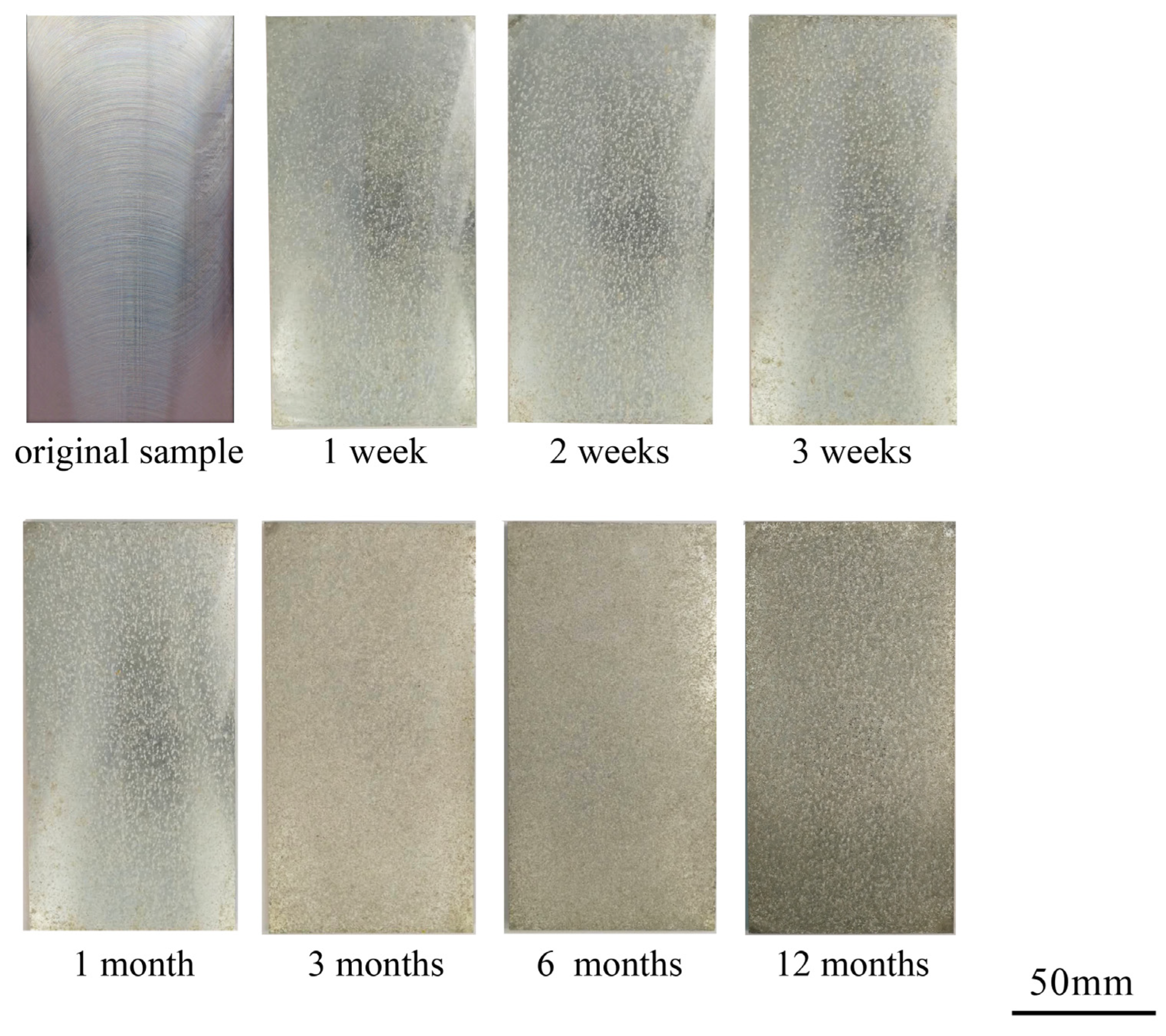Coatings 14 00331 g002