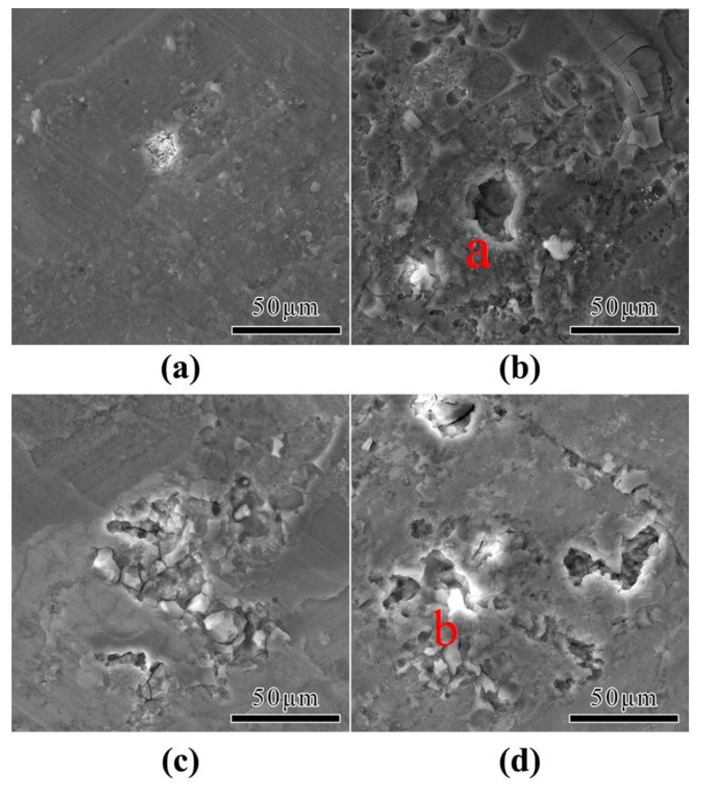 Coatings 14 00331 g003
