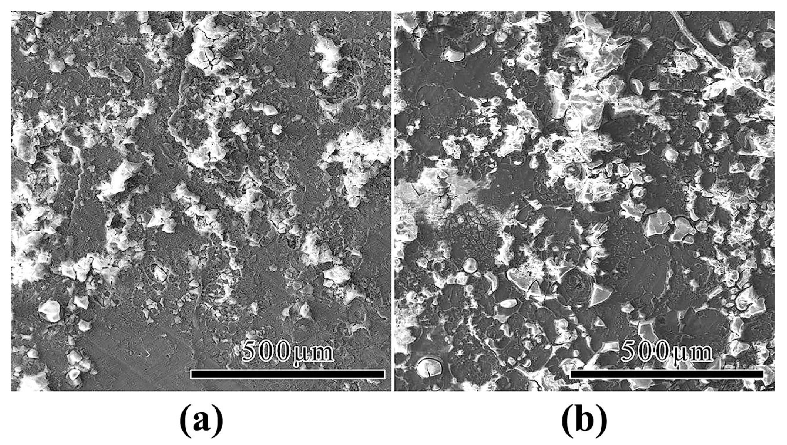Coatings 14 00331 g005