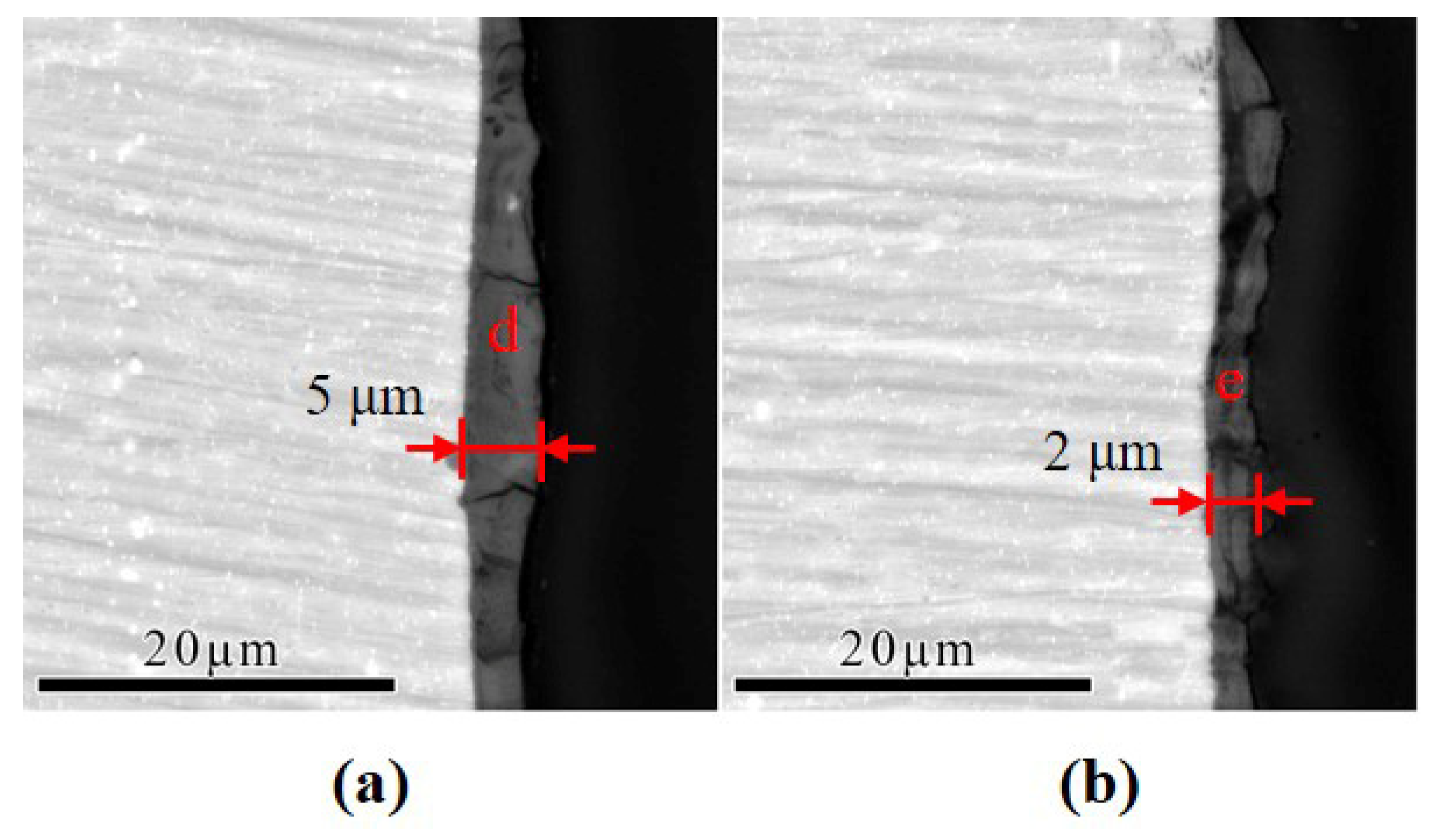 Coatings 14 00331 g006