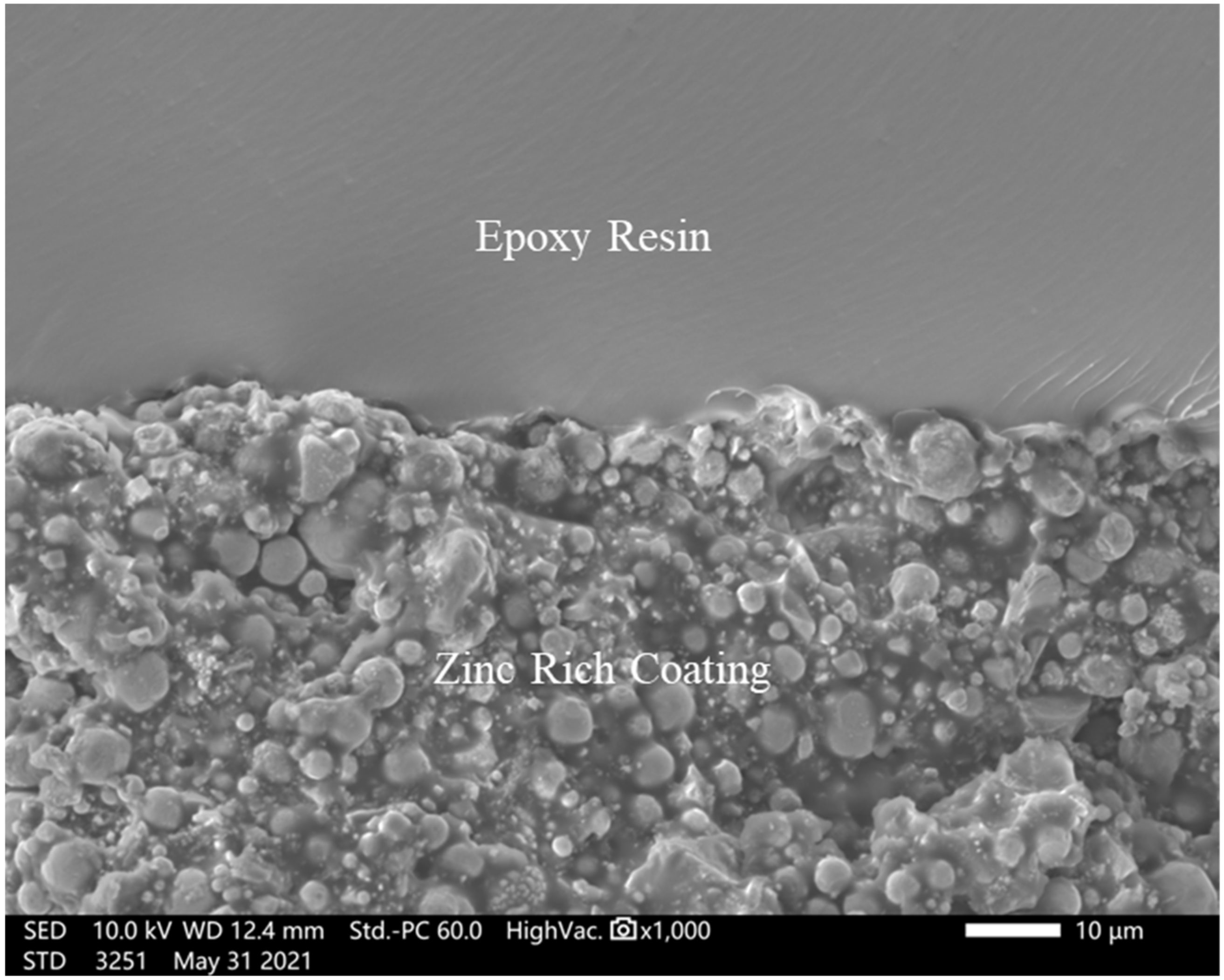 Coatings 14 00336 g002