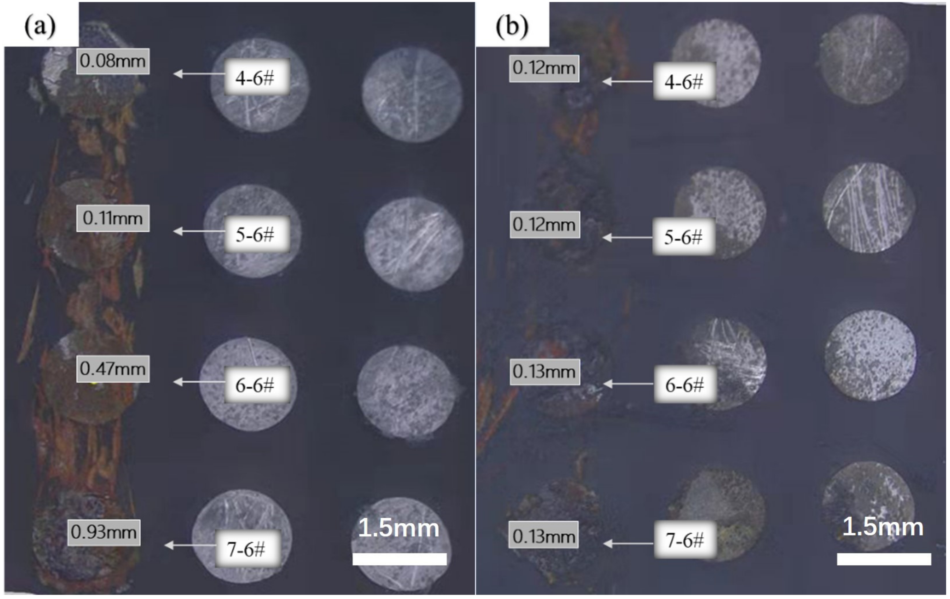 Coatings 14 00336 g009