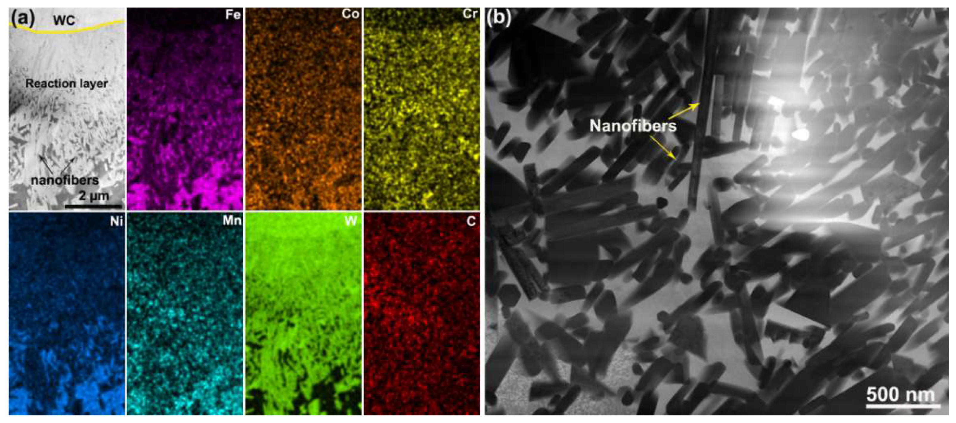 Coatings 14 00339 g005