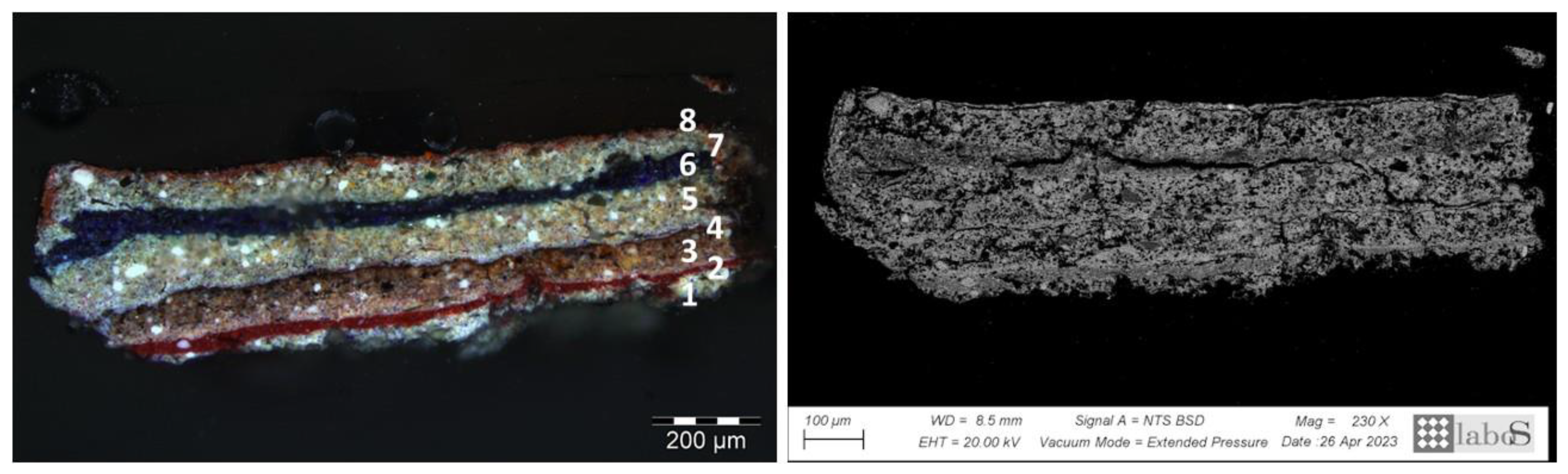 Coatings 14 00344 g004
