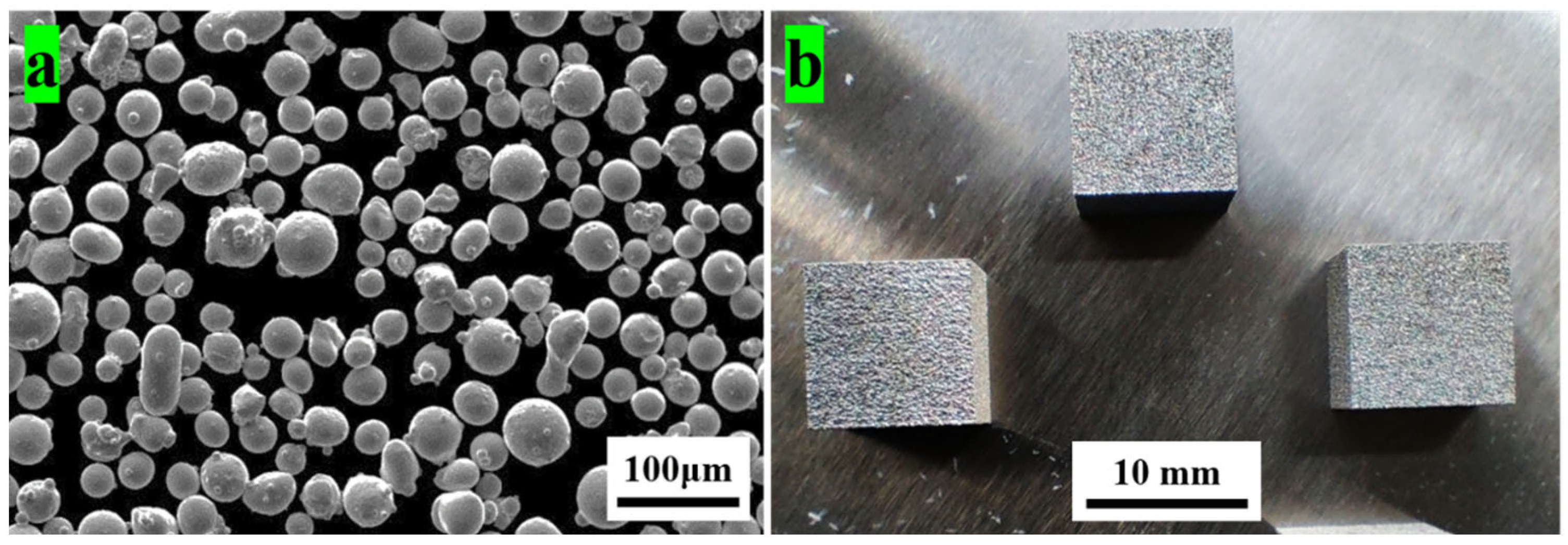Coatings 14 00348 g001
