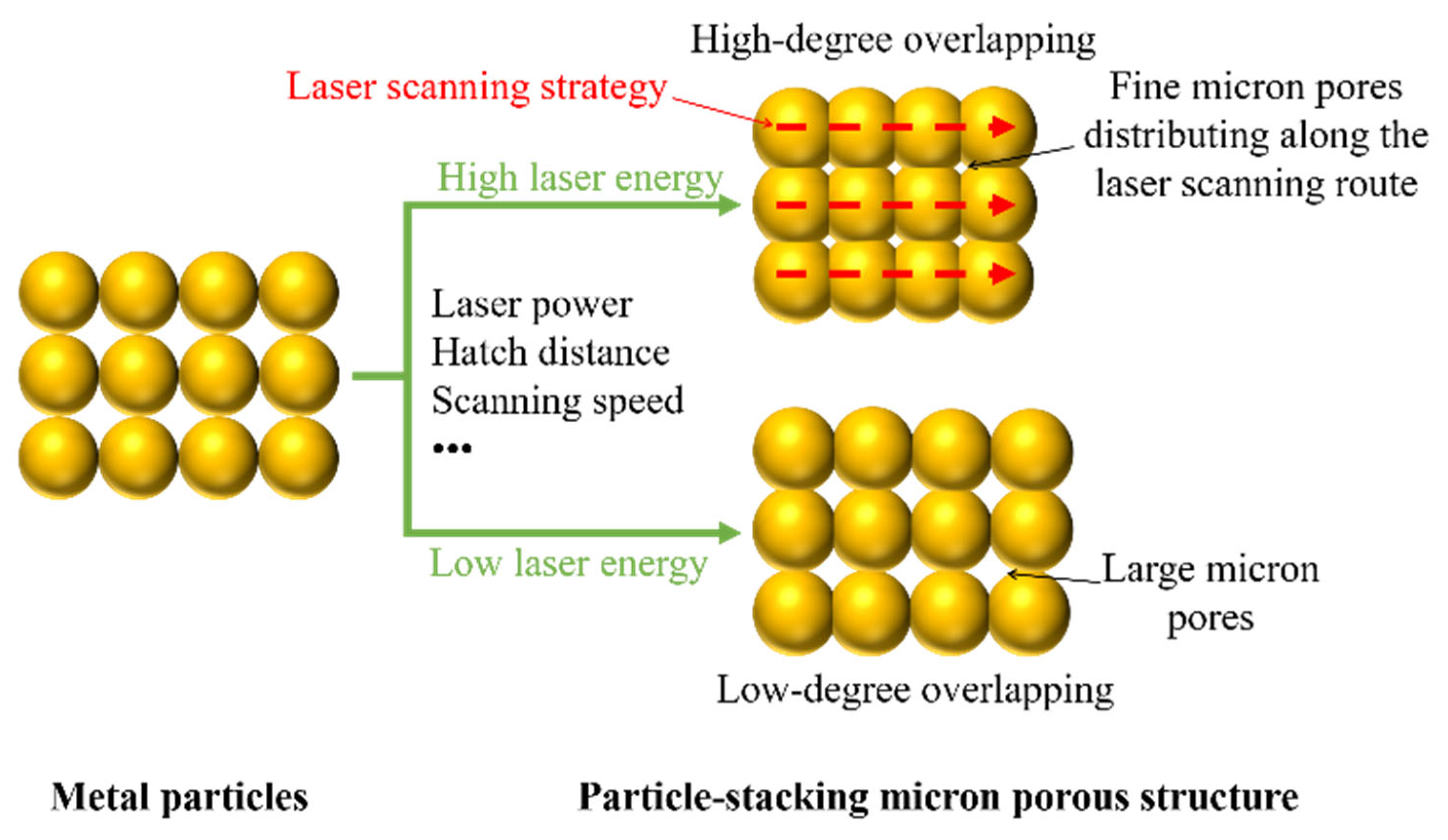 Coatings 14 00348 g002