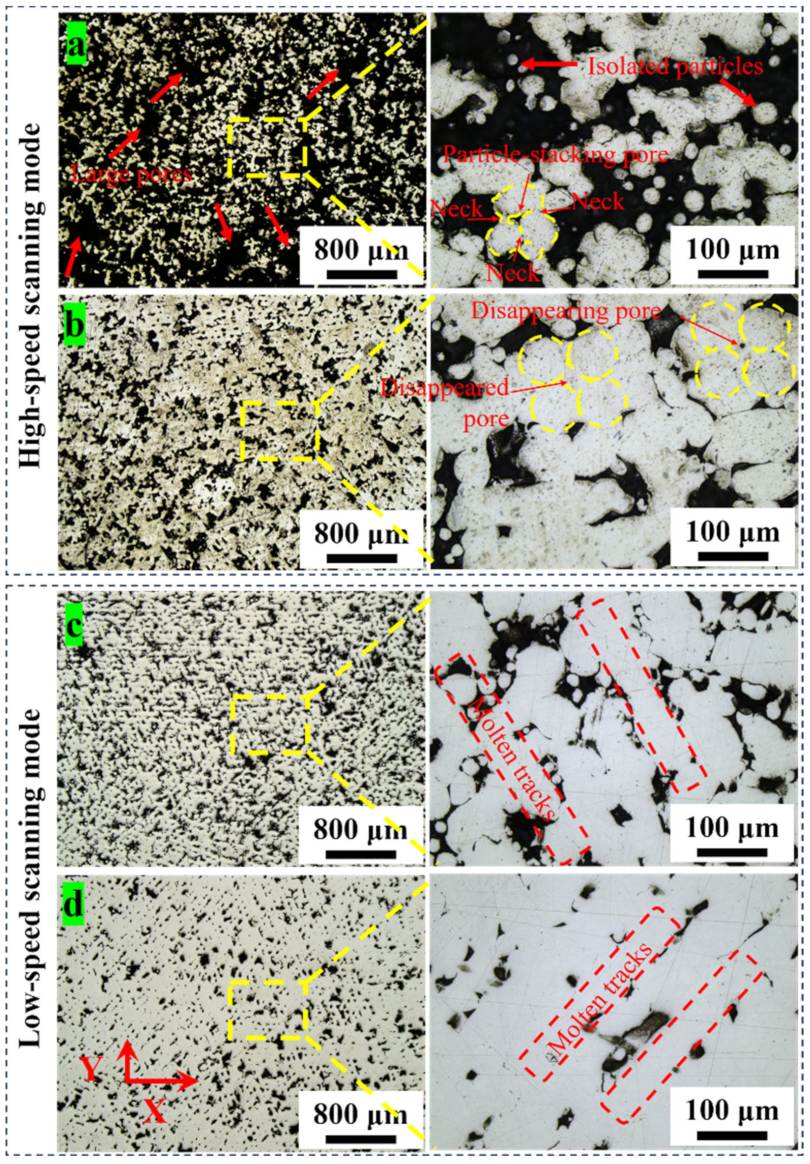 Coatings 14 00348 g004