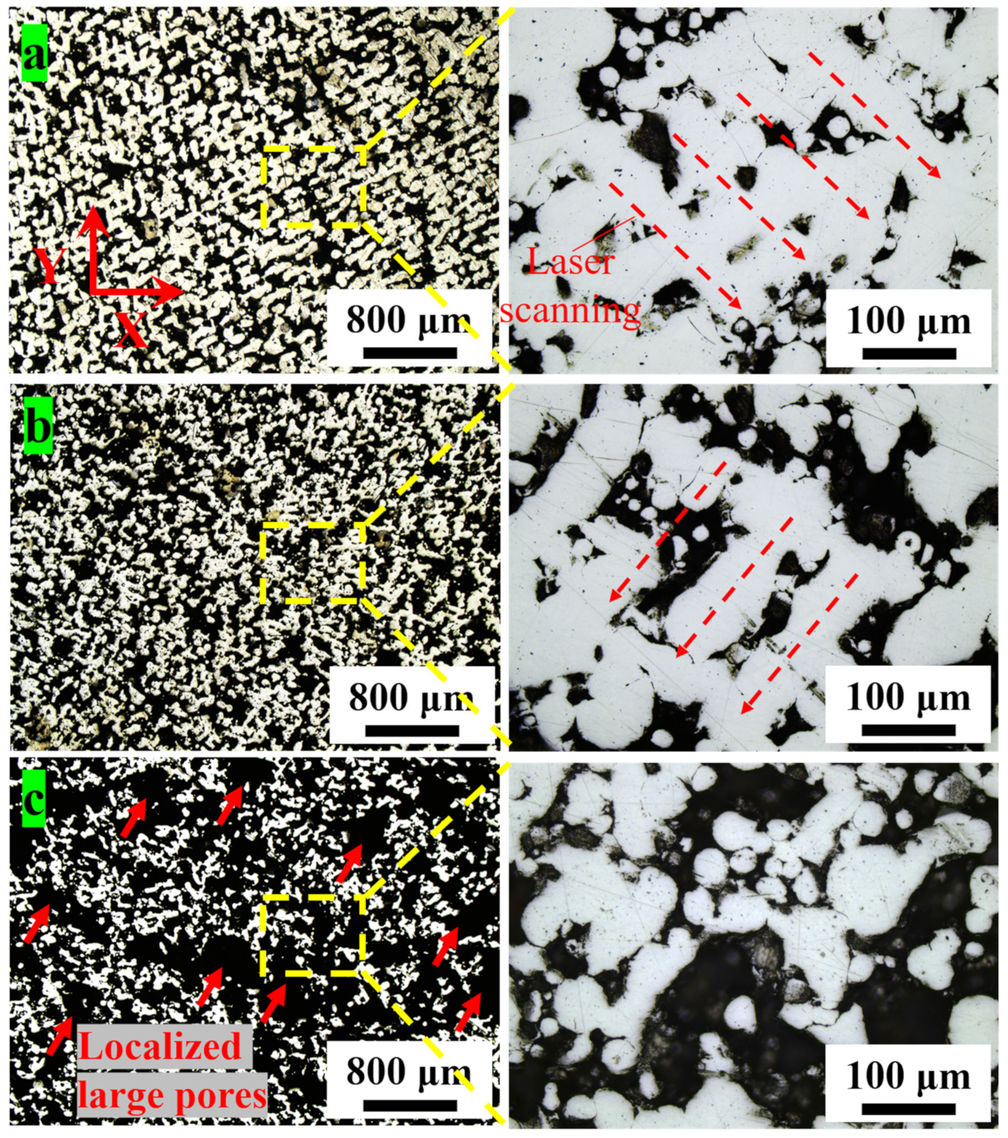 Coatings 14 00348 g007
