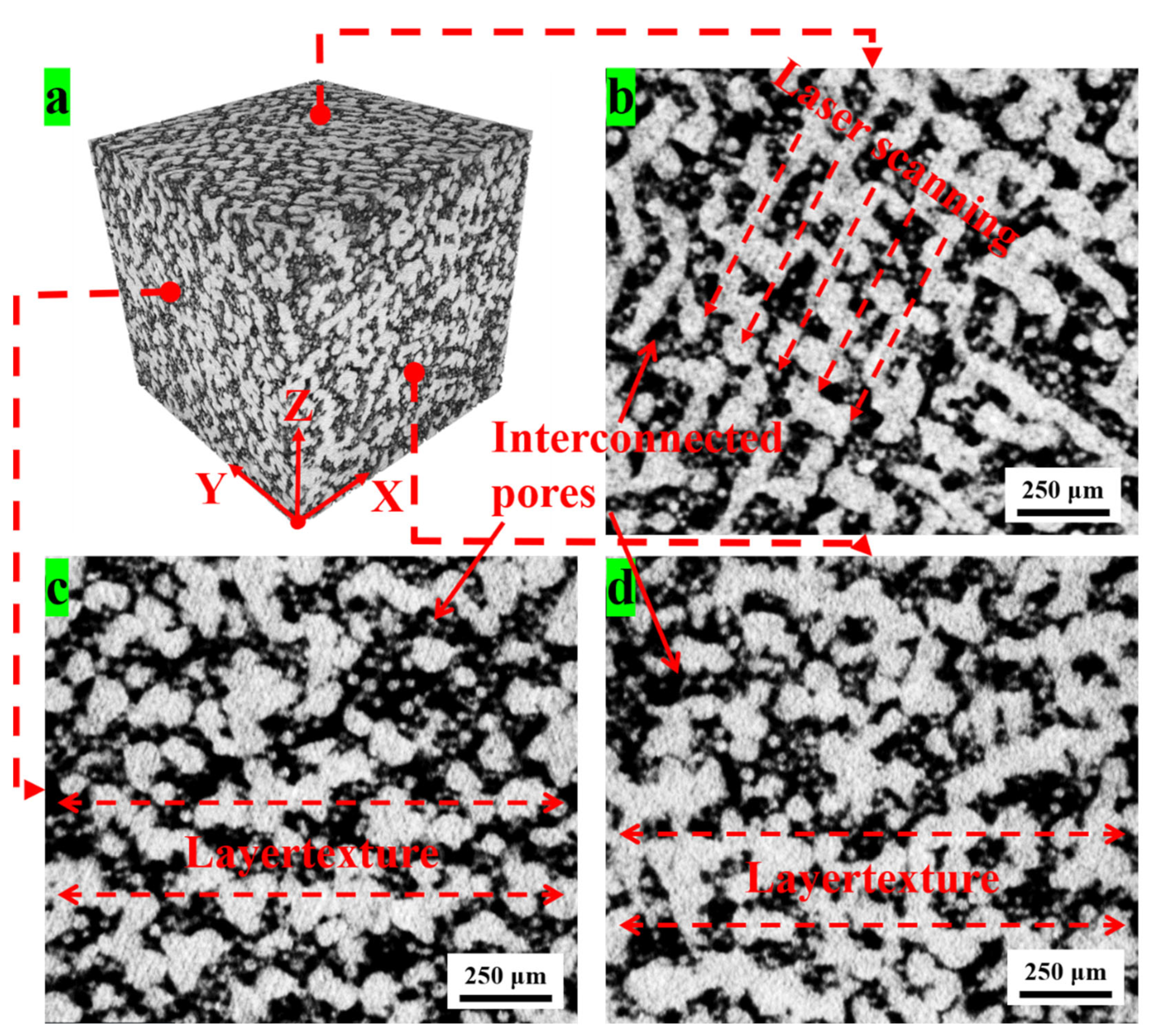 Coatings 14 00348 g012