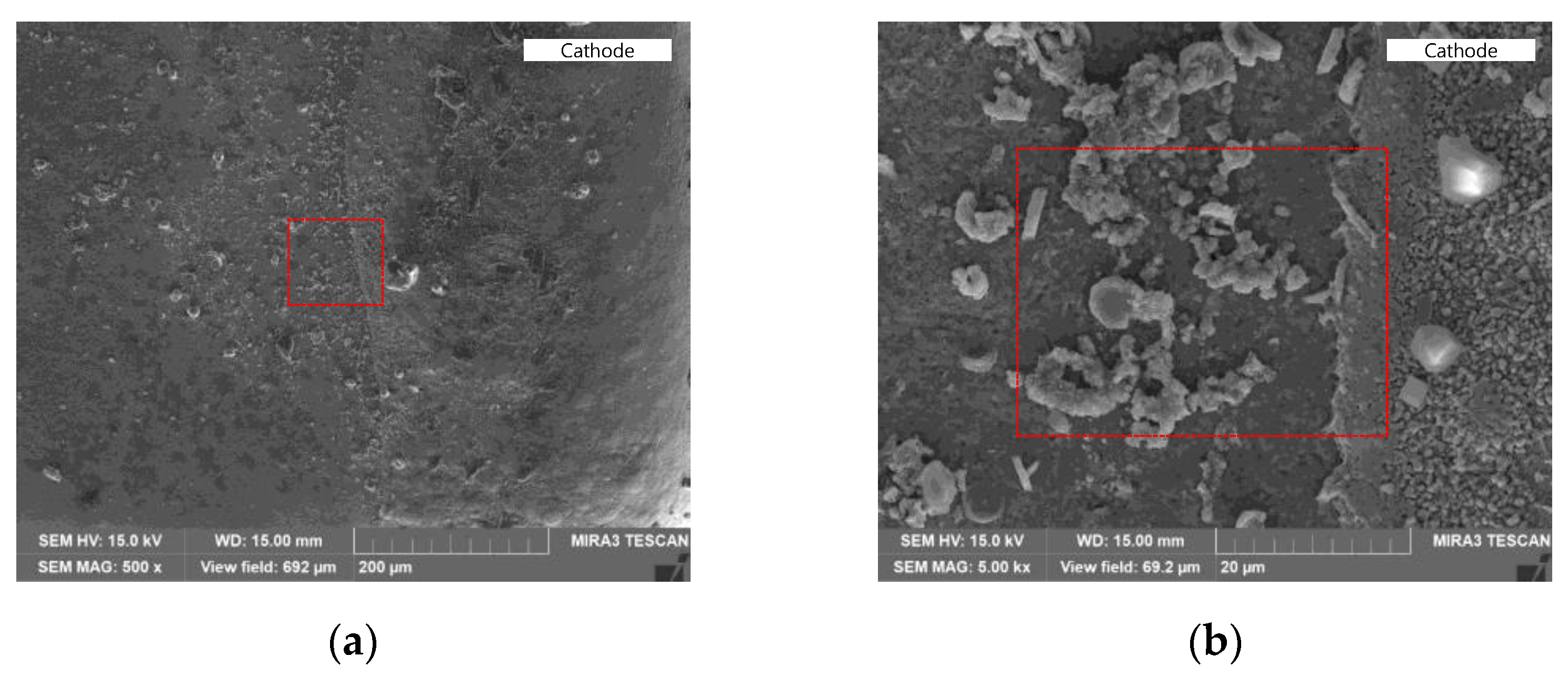Coatings 14 00359 g003 Coatings 14 00359 g003