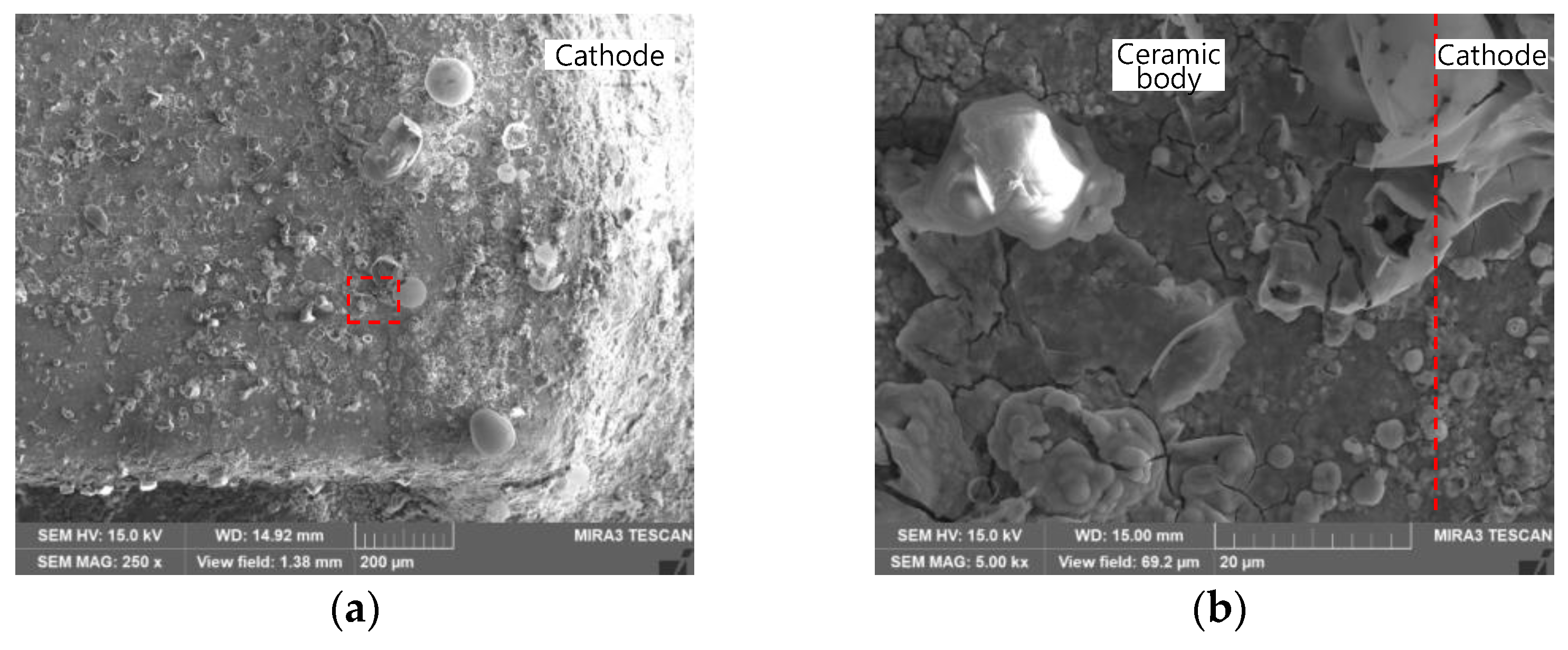 Coatings 14 00359 g006 Coatings 14 00359 g006