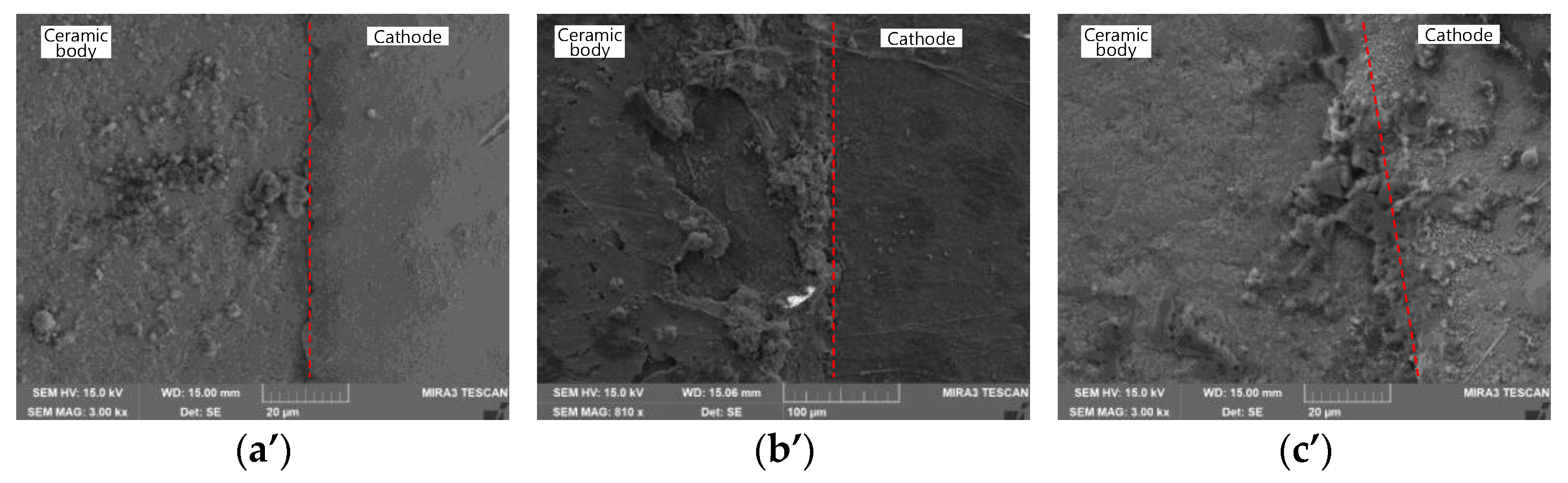 Coatings 14 00359 g009b Coatings 14 00359 g009b