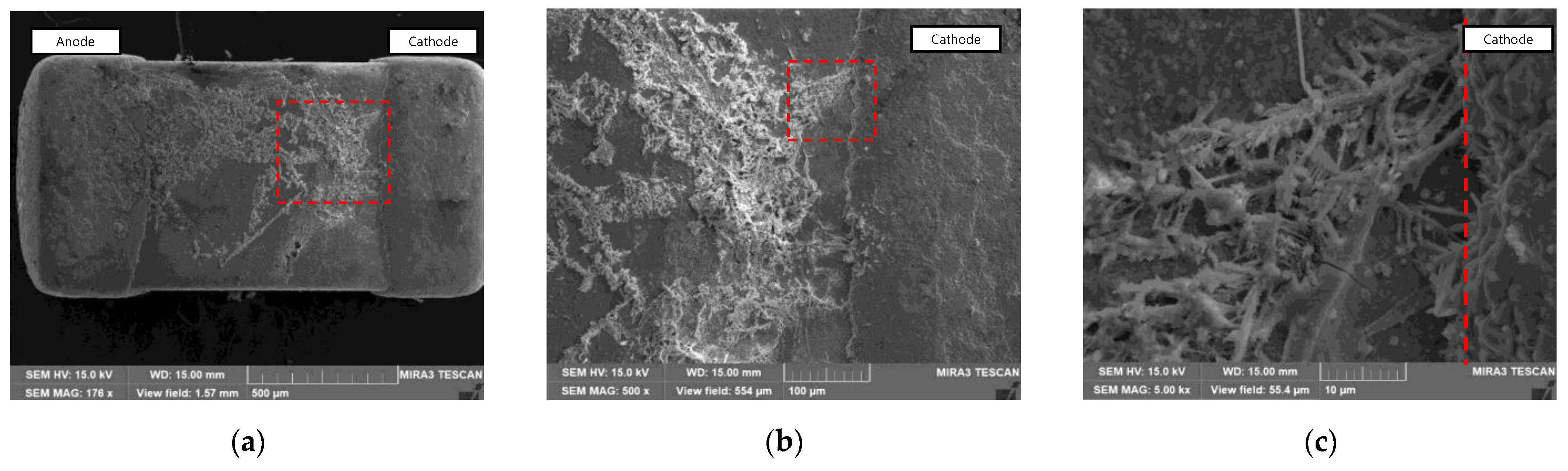 Coatings 14 00359 g012 Coatings 14 00359 g012
