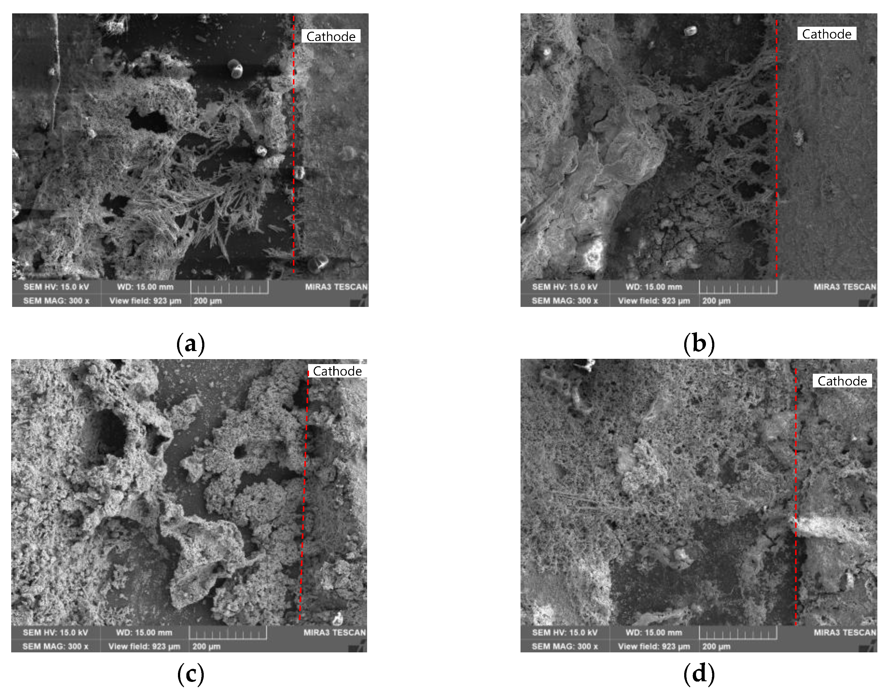 Coatings 14 00359 g015 Coatings 14 00359 g015