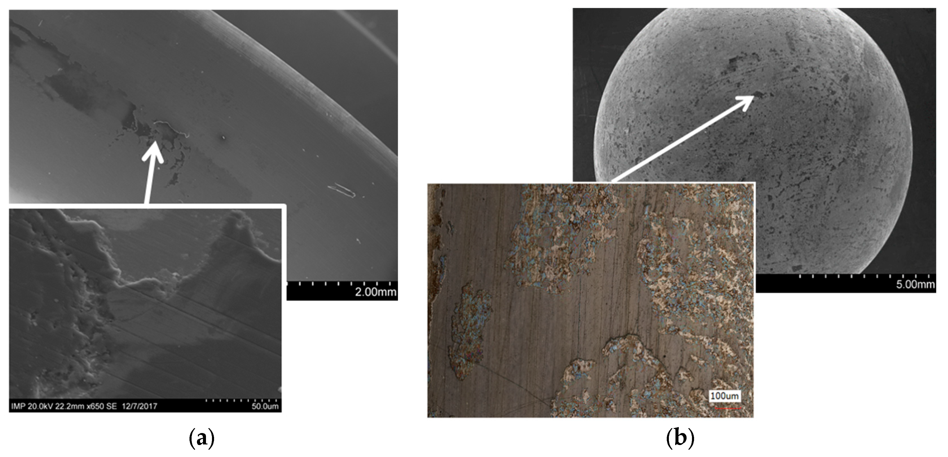 Coatings 14 00360 g001