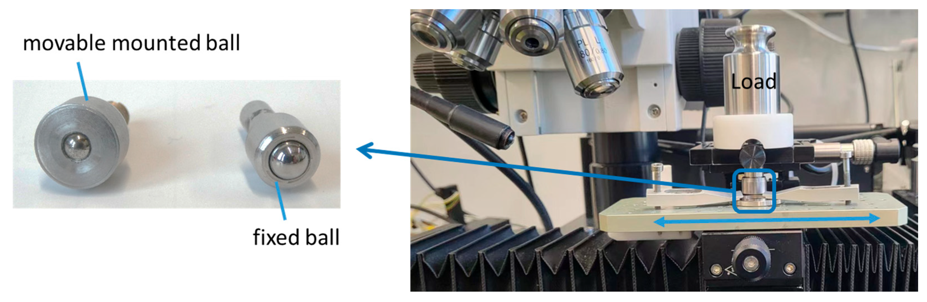 Coatings 14 00360 g004