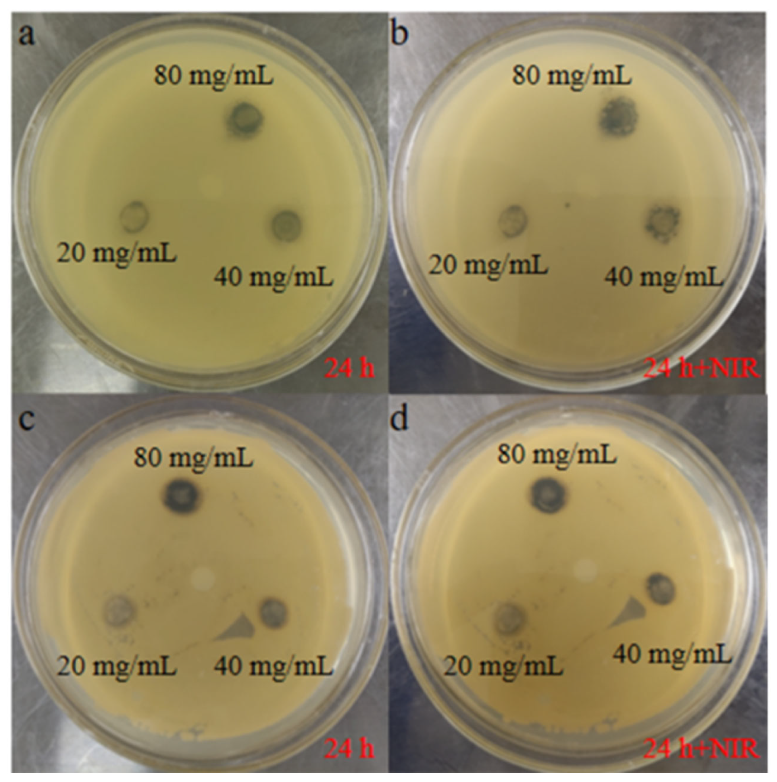 Coatings 14 00363 g006