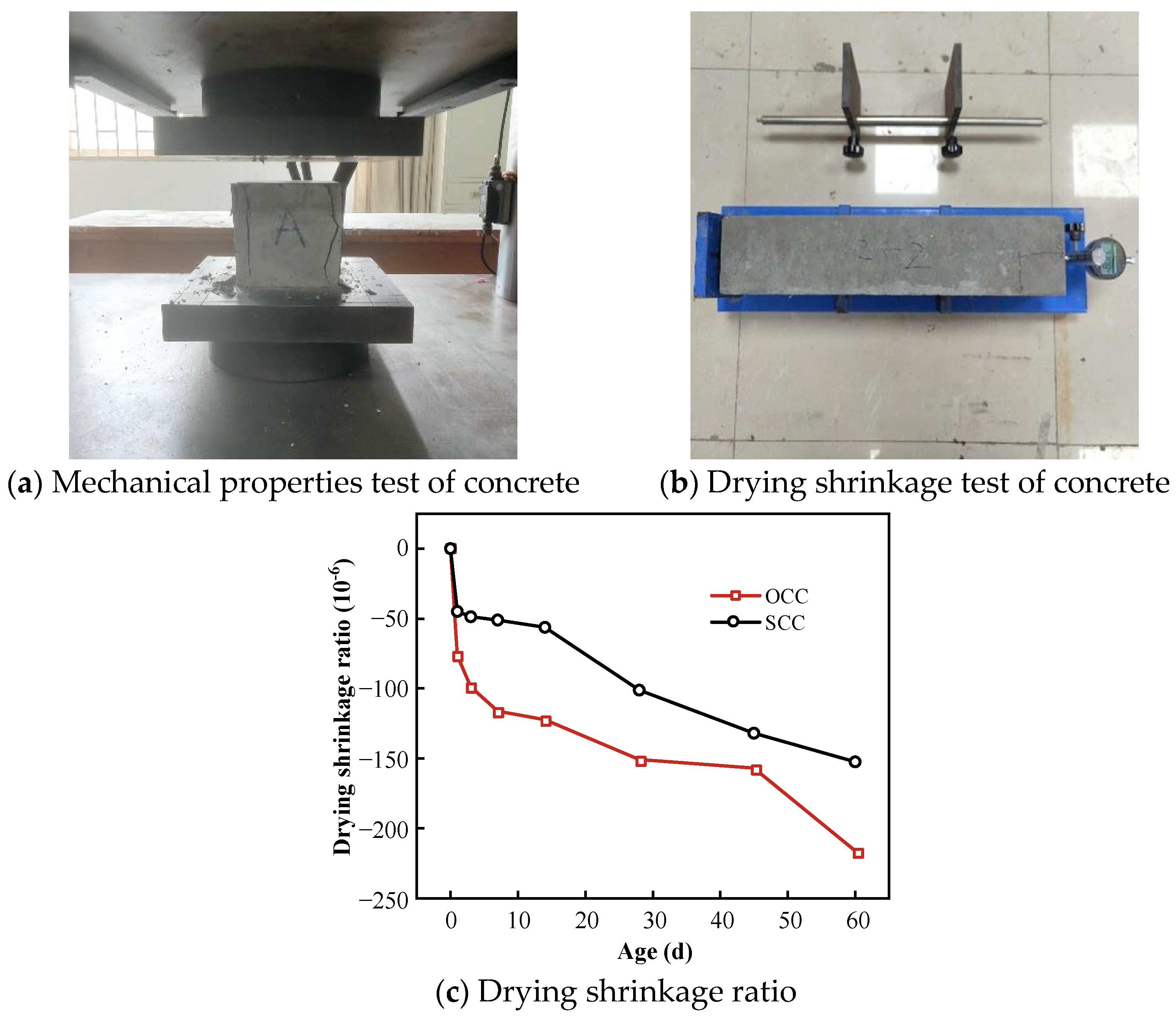 Coatings 14 00369 g002