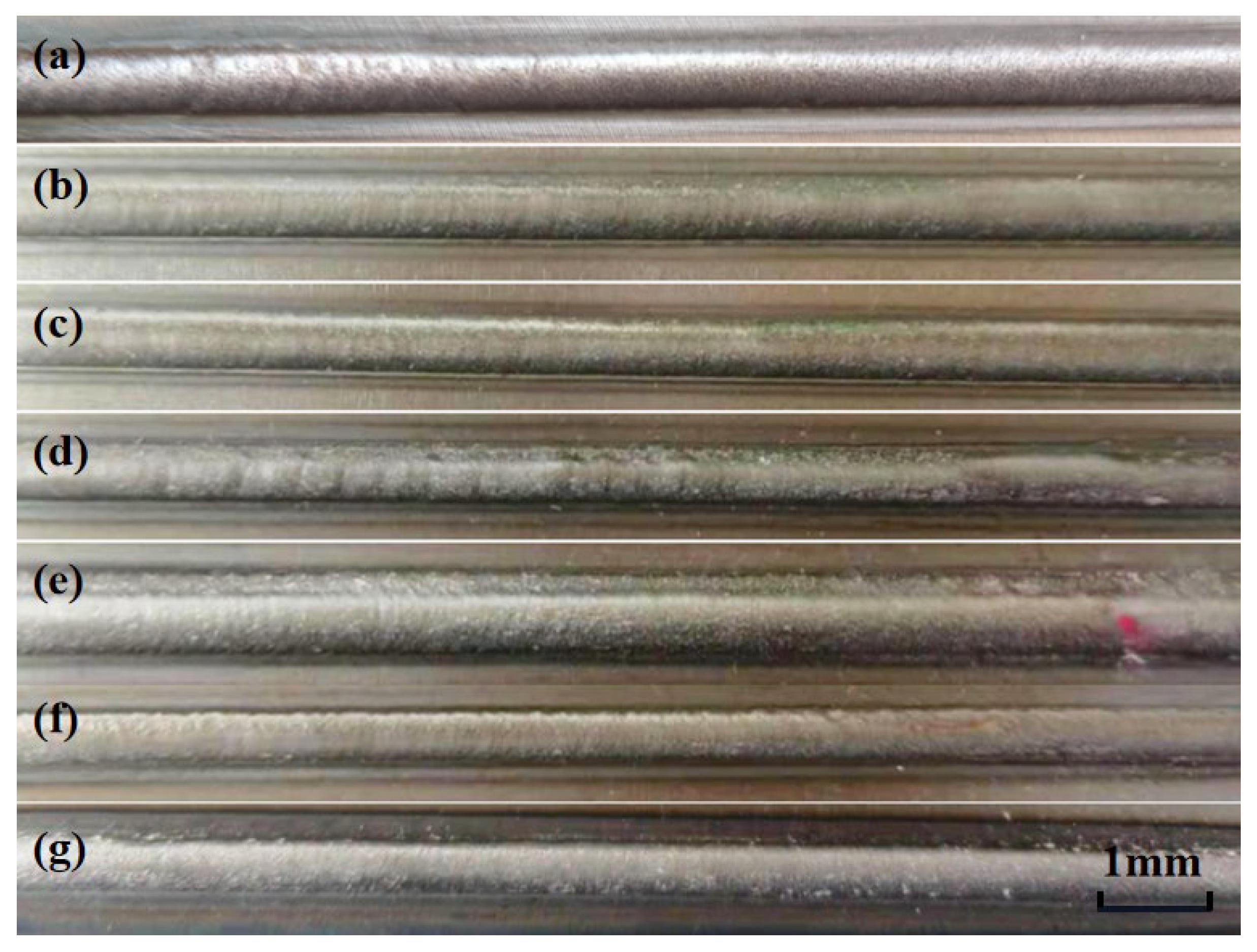 Coatings 14 00384 g002