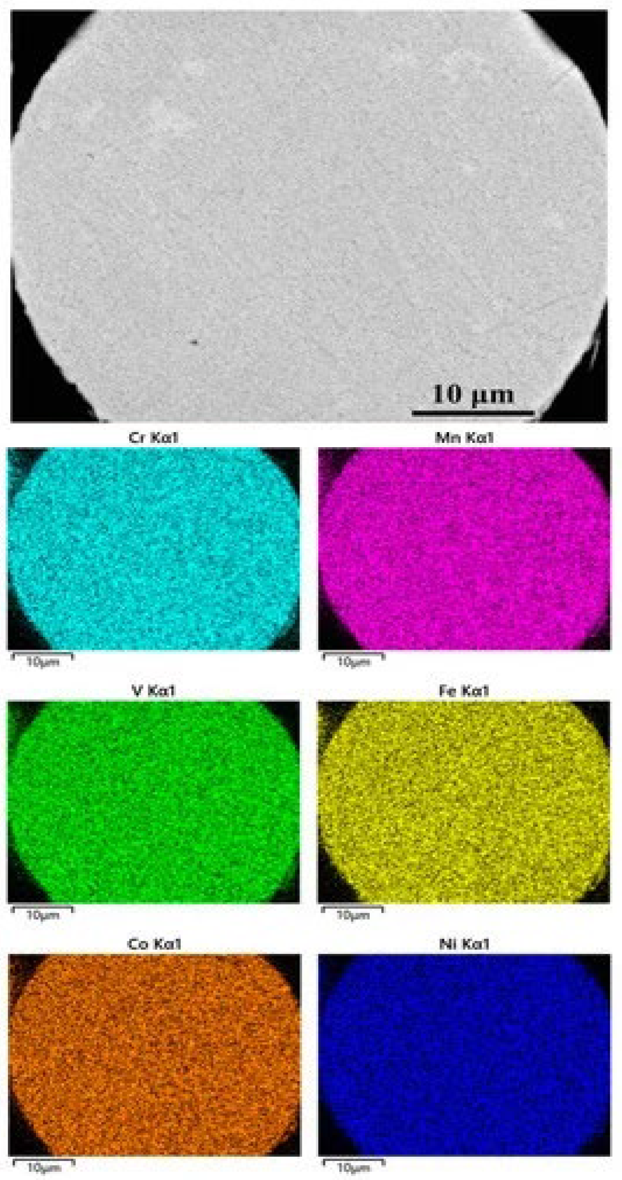 Coatings 14 00402 g001
