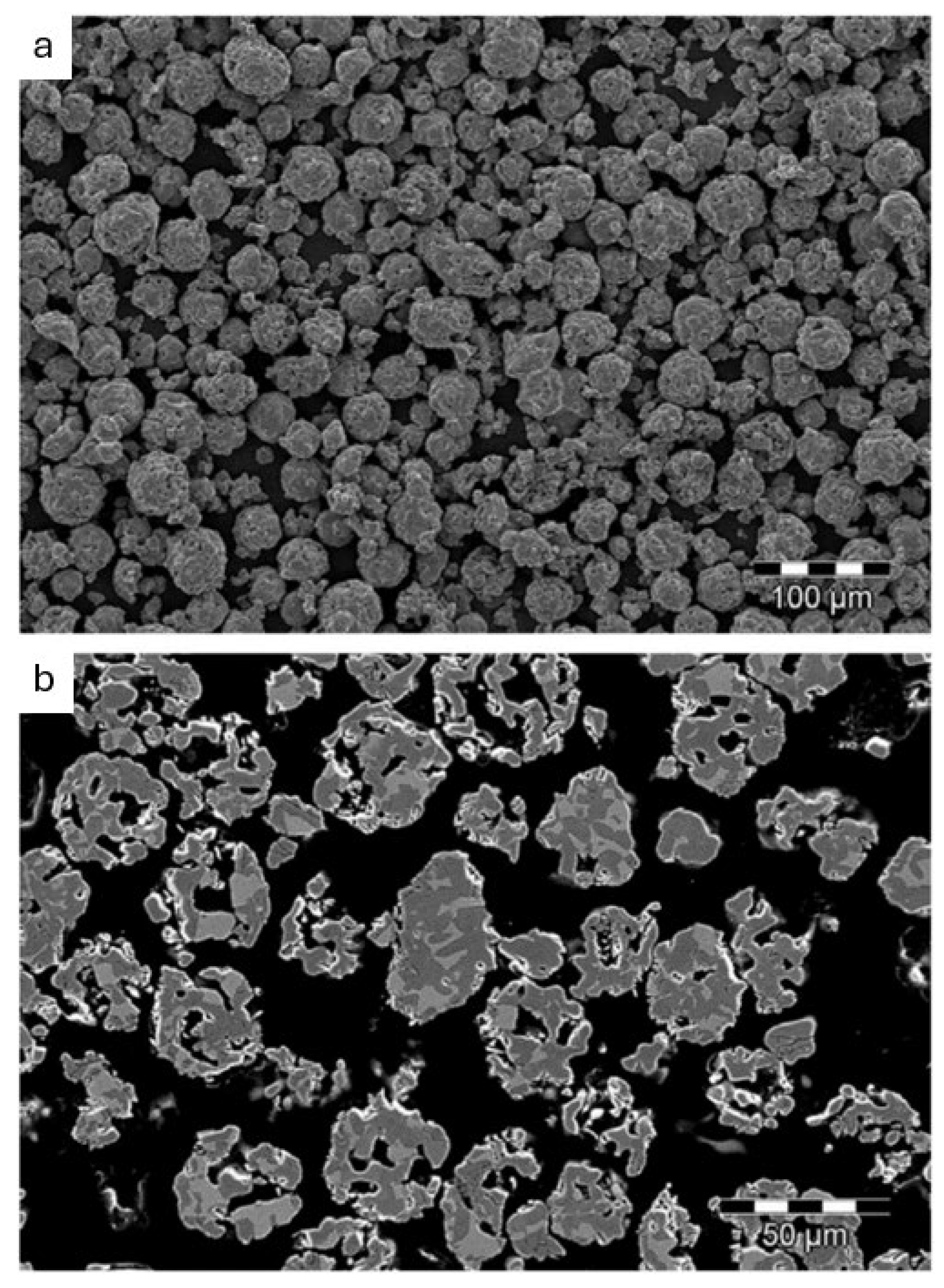Coatings 14 00402 g002