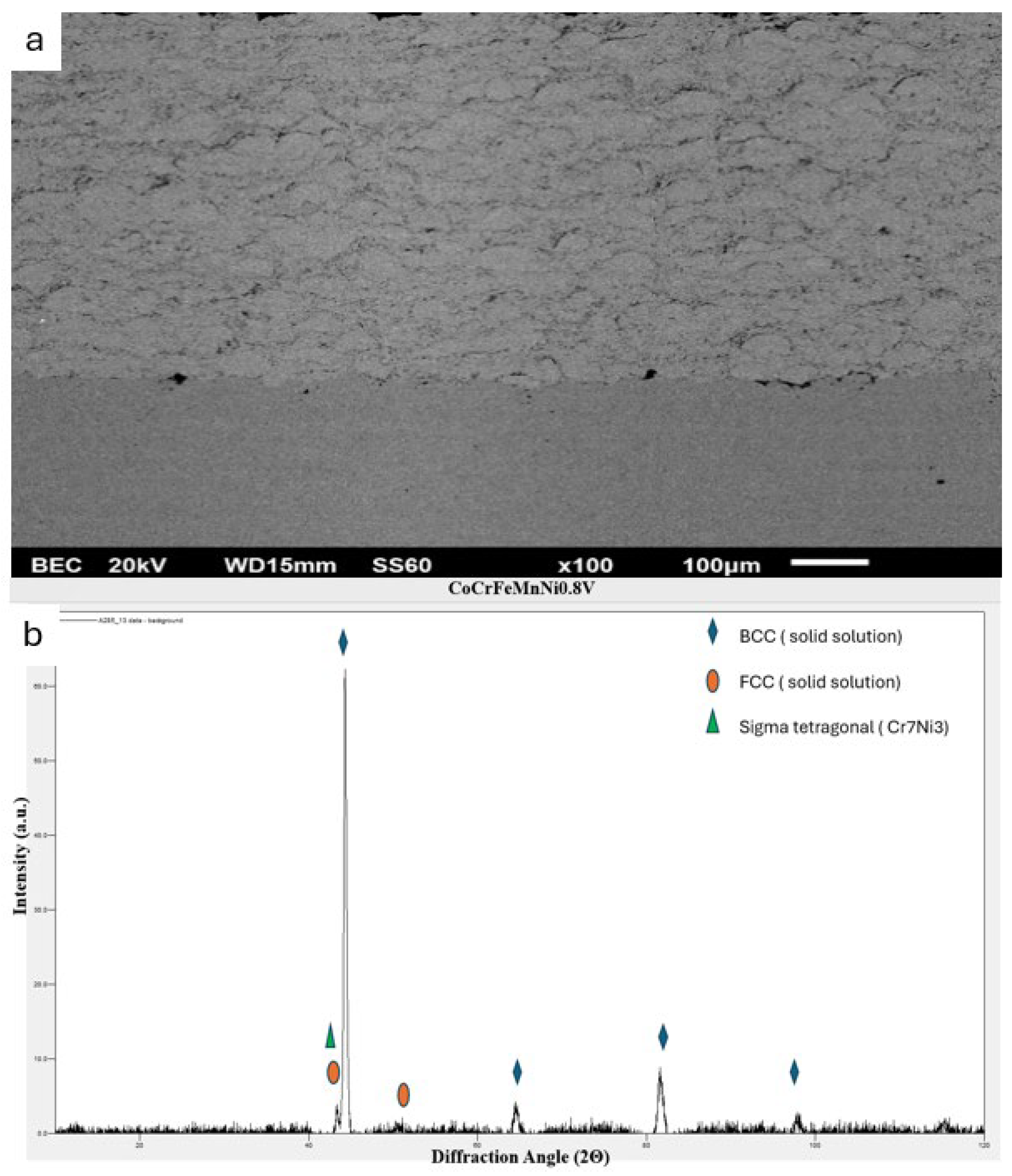 Coatings 14 00402 g005